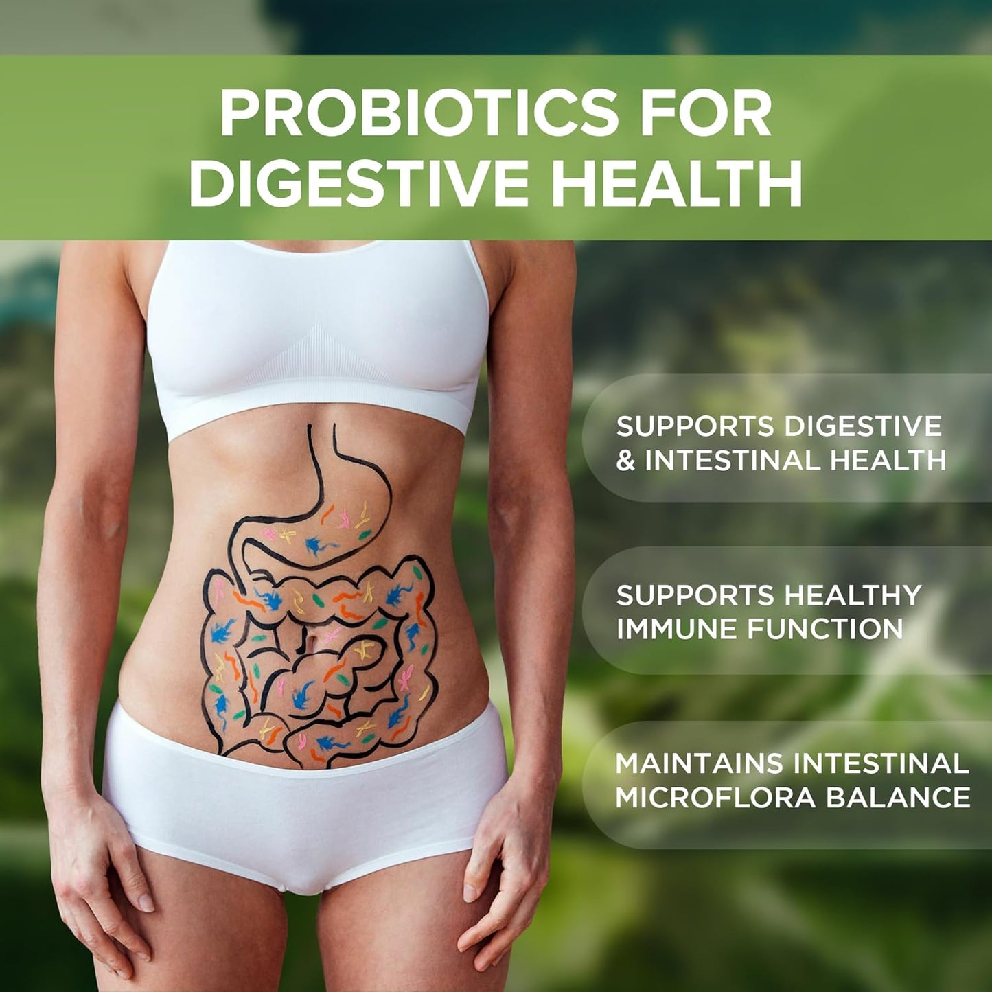 digestive-health-probiotic-supplement-with-3-billion-cfu-240-tablets-for-men-women---natural-foundation-supplements-for-gut-health---made-in-the-usa-2