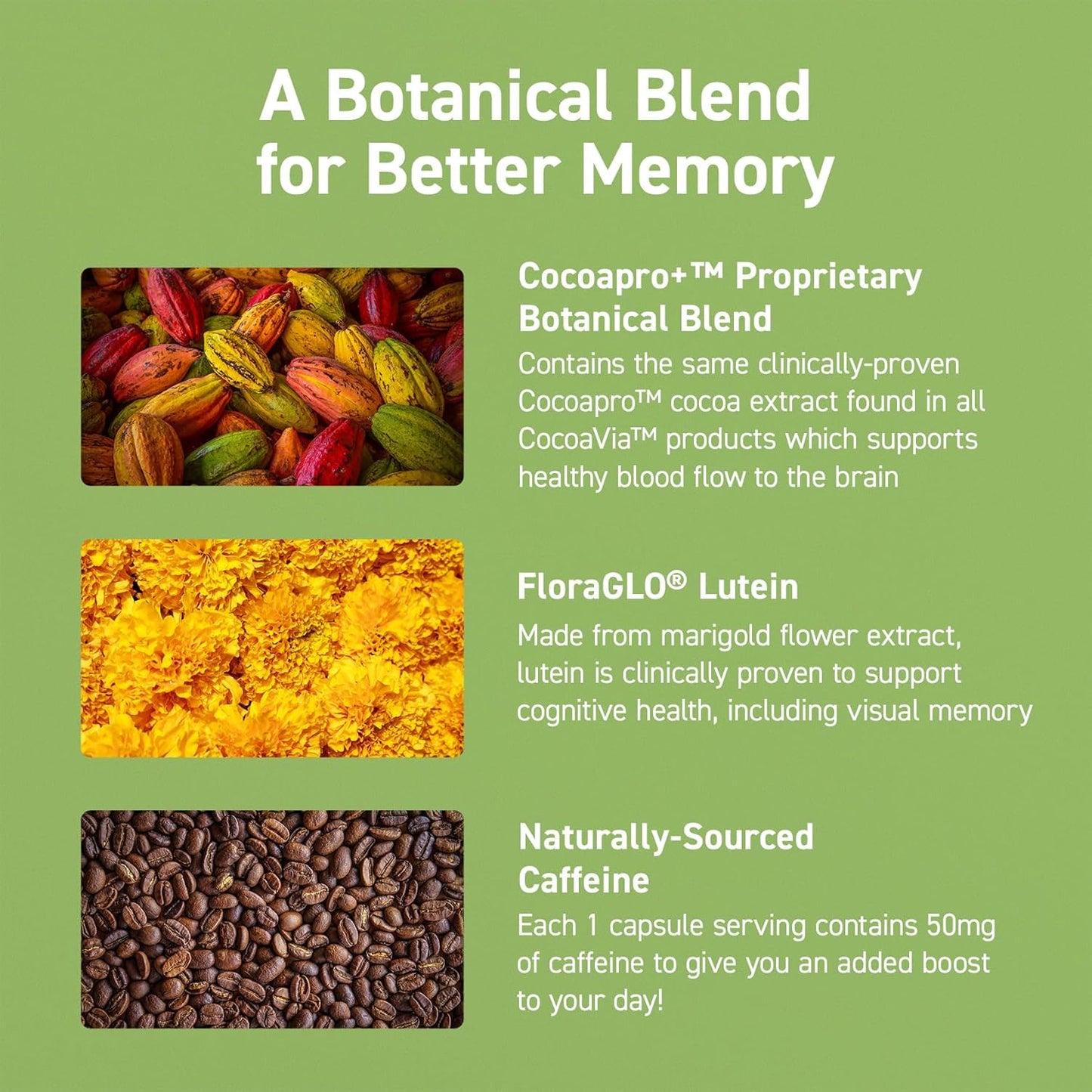 30-day-cocoavia-memory-focus-brain-supplement-with-cocoa-flavanols-lutein-and-caffeine-for-cognitive-function-attention---vegan-plant-based-capsules-4