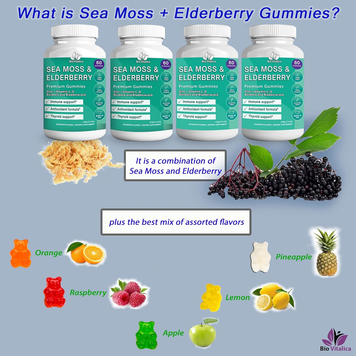 sea-moss-and-elderberry-gummies-by-bio-vitalica---parent-pack-of-4-2