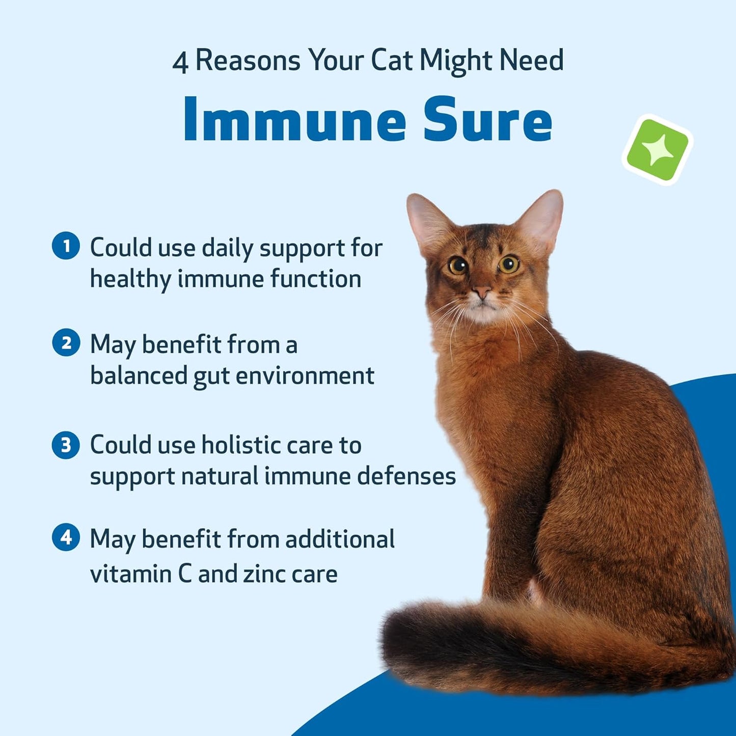 herbal-supplement-for-cats---boosts-immune-defenses-balances-gut-flora-andrographis-echinacea-vit-c-zinc---veterinarian-formulated-pet-wellbeing-4-oz-3