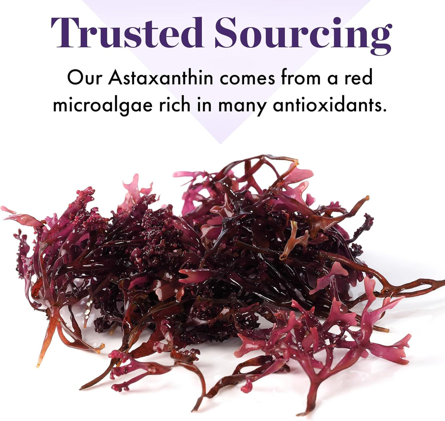 alaskan-algae-astaxanthin-supplement-12mg---skin-eye-health-support---joint-support---non-gmo-gluten-free---30-softgels-5