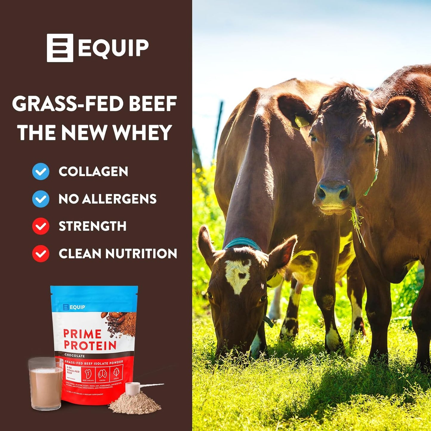 grass-fed-beef-isolate-protein-powder-with-colostrum---chocolate-unflavored---gluten-free-keto-friendly-supplement-by-equip-foods-3
