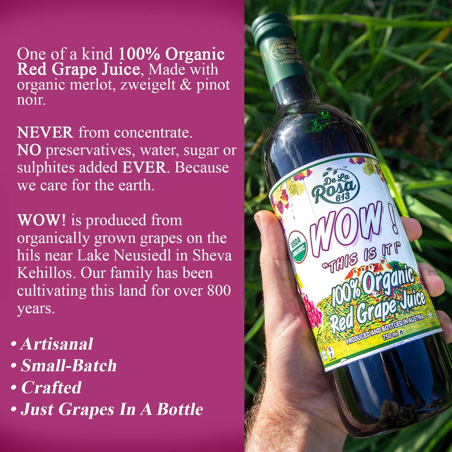 organic-red-grape-juice-non-gmo-vegan-gluten-free-kosher-certified-no-sugar-added-no-preservatives---254-oz-pack-of-6-by-de-la-rosa-613-4