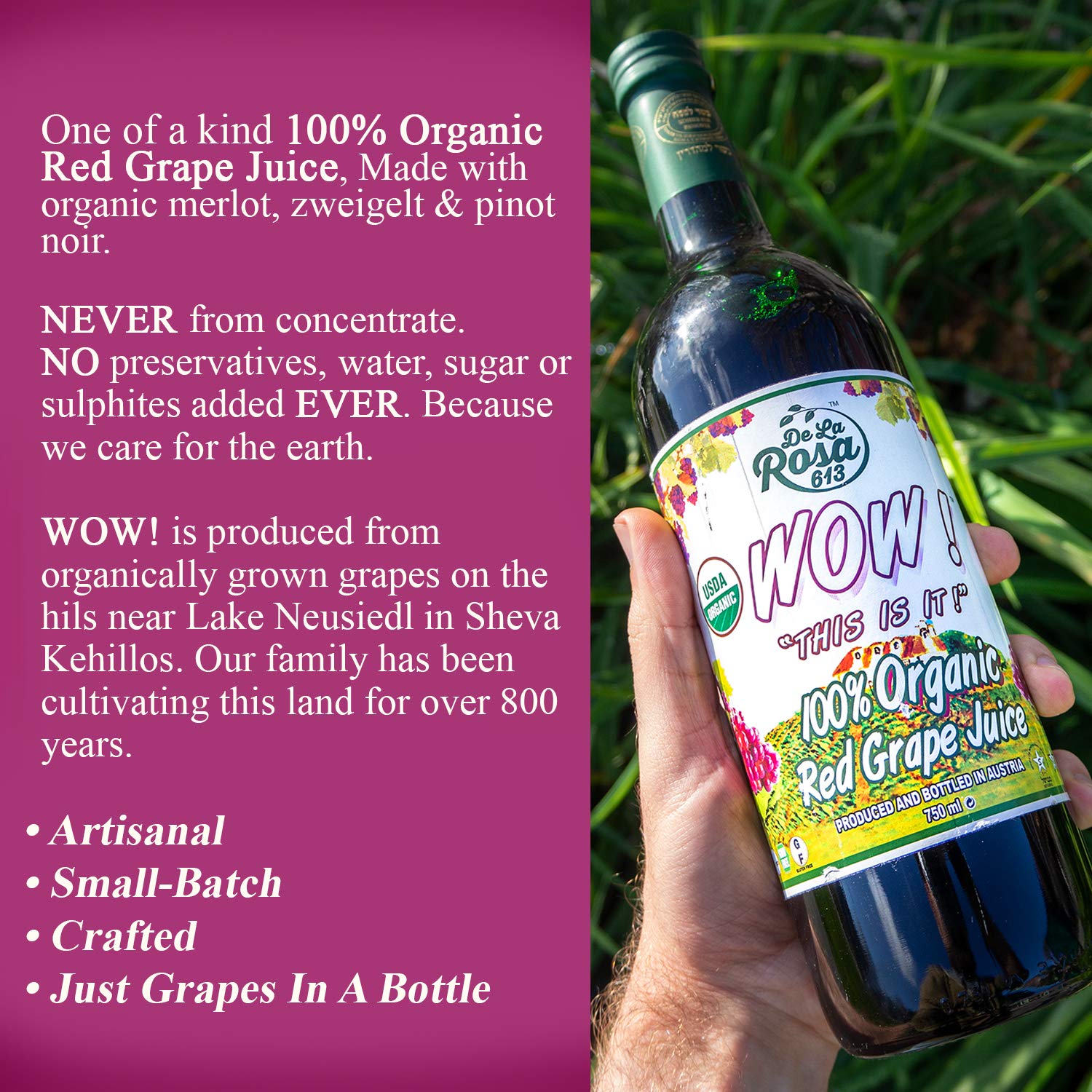 organic-red-grape-juice-non-gmo-vegan-gluten-free-kosher-certified-no-sugar-added-no-preservatives---254-oz-pack-of-6-by-de-la-rosa-613-4