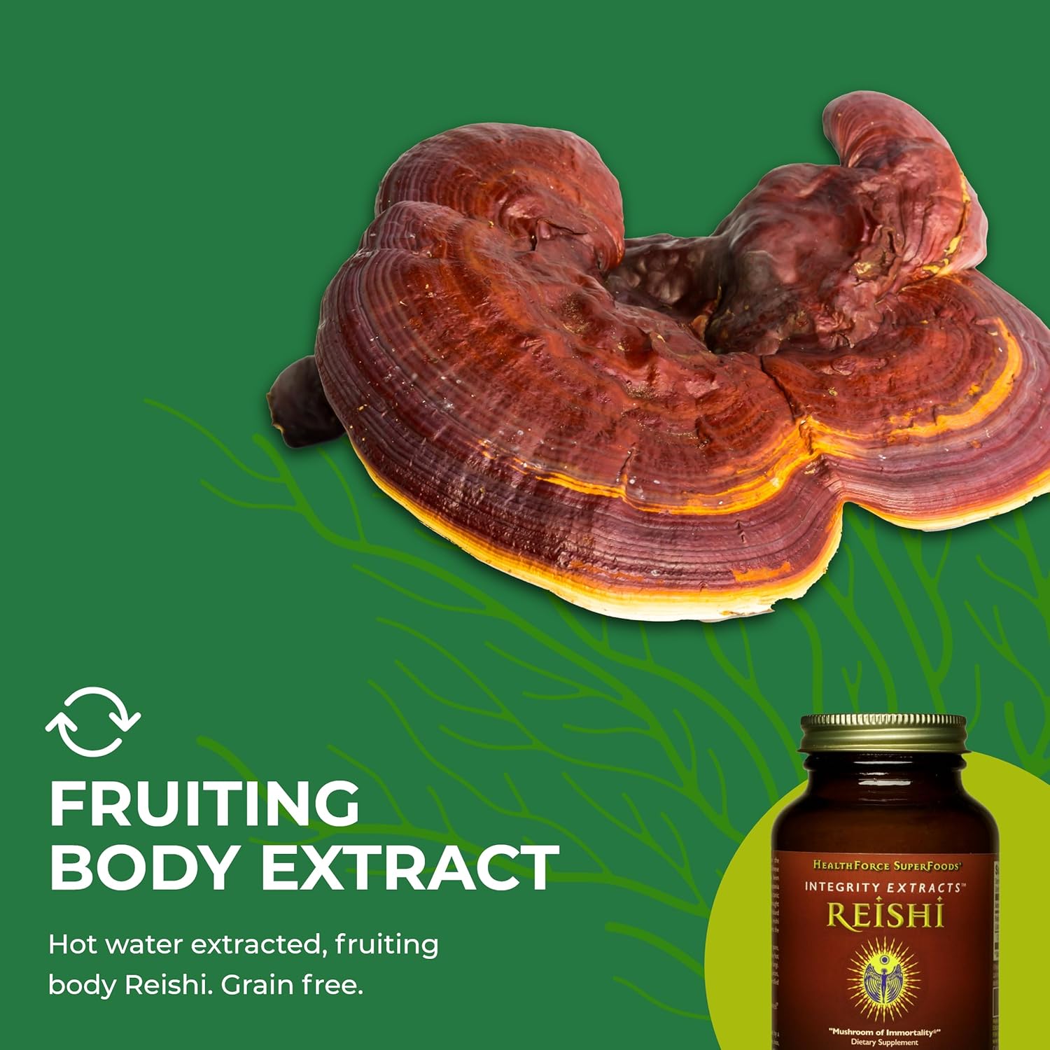 HealthForce SuperFoods Integrity Extracts Reishi Powder - 65g - Organic Mushroom Supplement - Espot.com.au