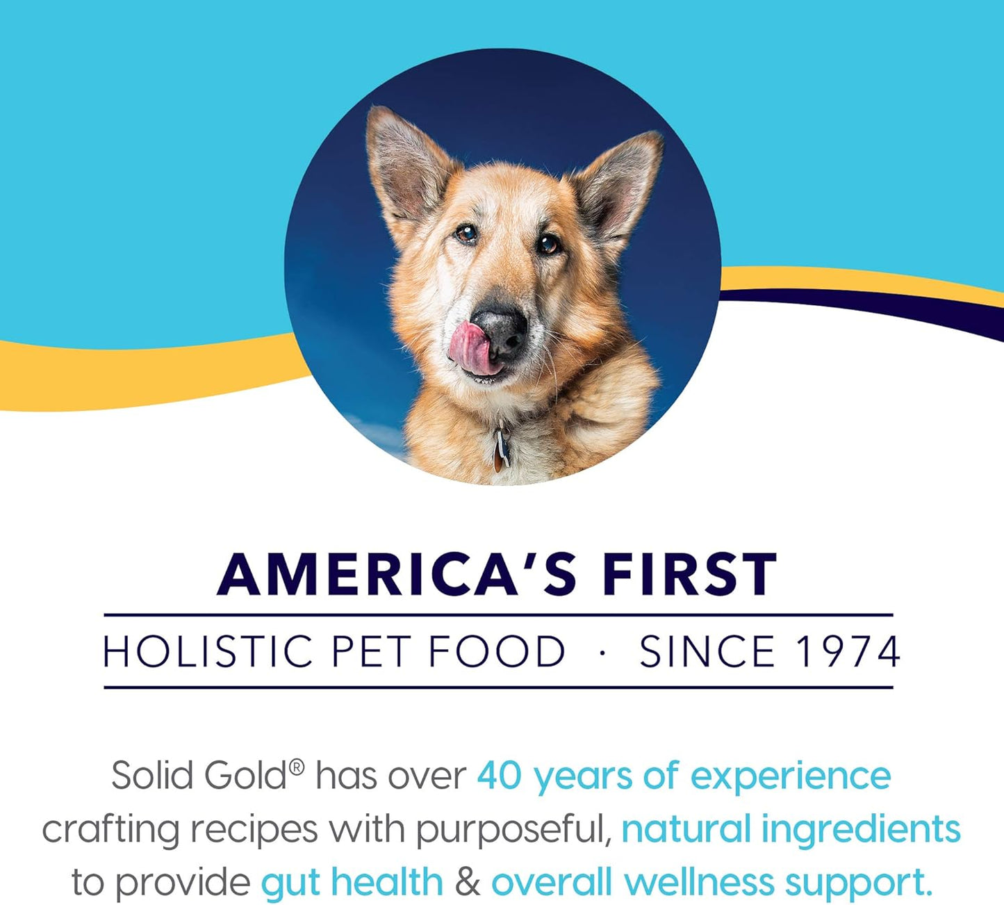 star-chaser-high-calorie-wet-dog-food-with-real-chicken-whole-grains-for-adult-senior-dogs---promotes-healthy-digestion-and-immune-support---solid-gold-canned-dog-food-7