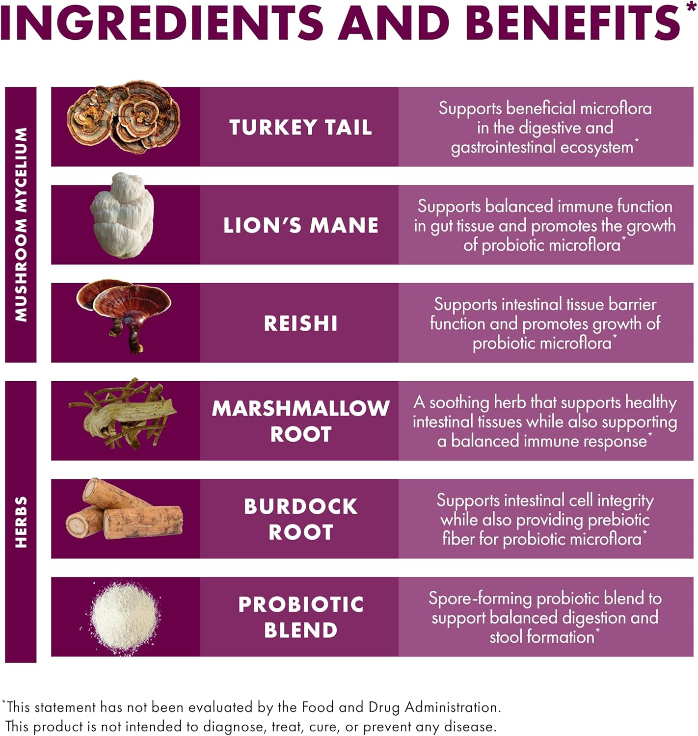 mycobotanicals-microbiome-powder---digestive-immune-support-supplement---gut-health-with-turkey-tail-lions-mane-reishi---35-oz-4