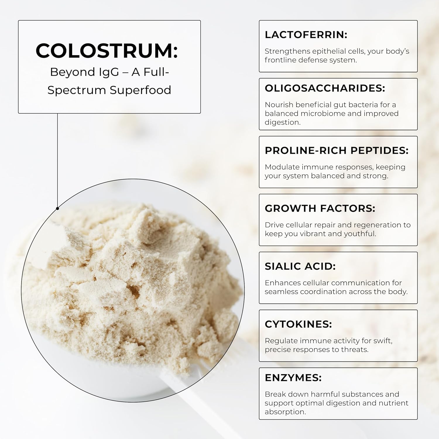 colostrum-powder-superfood-for-gut-health-immune-support-recovery-skin-hair-nails-3