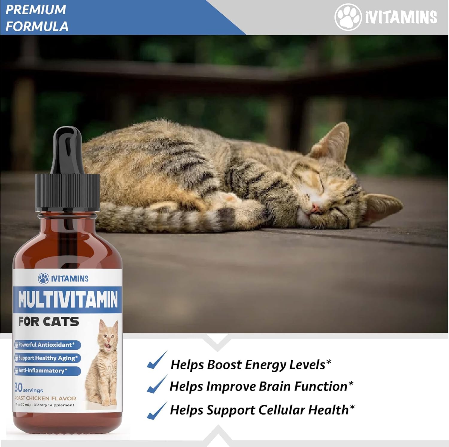 ivitamins-cat-multivitamin-for-immune-skin-coat-heart-health---indoor-kitten-vitamins---cat-immune-support---1-3
