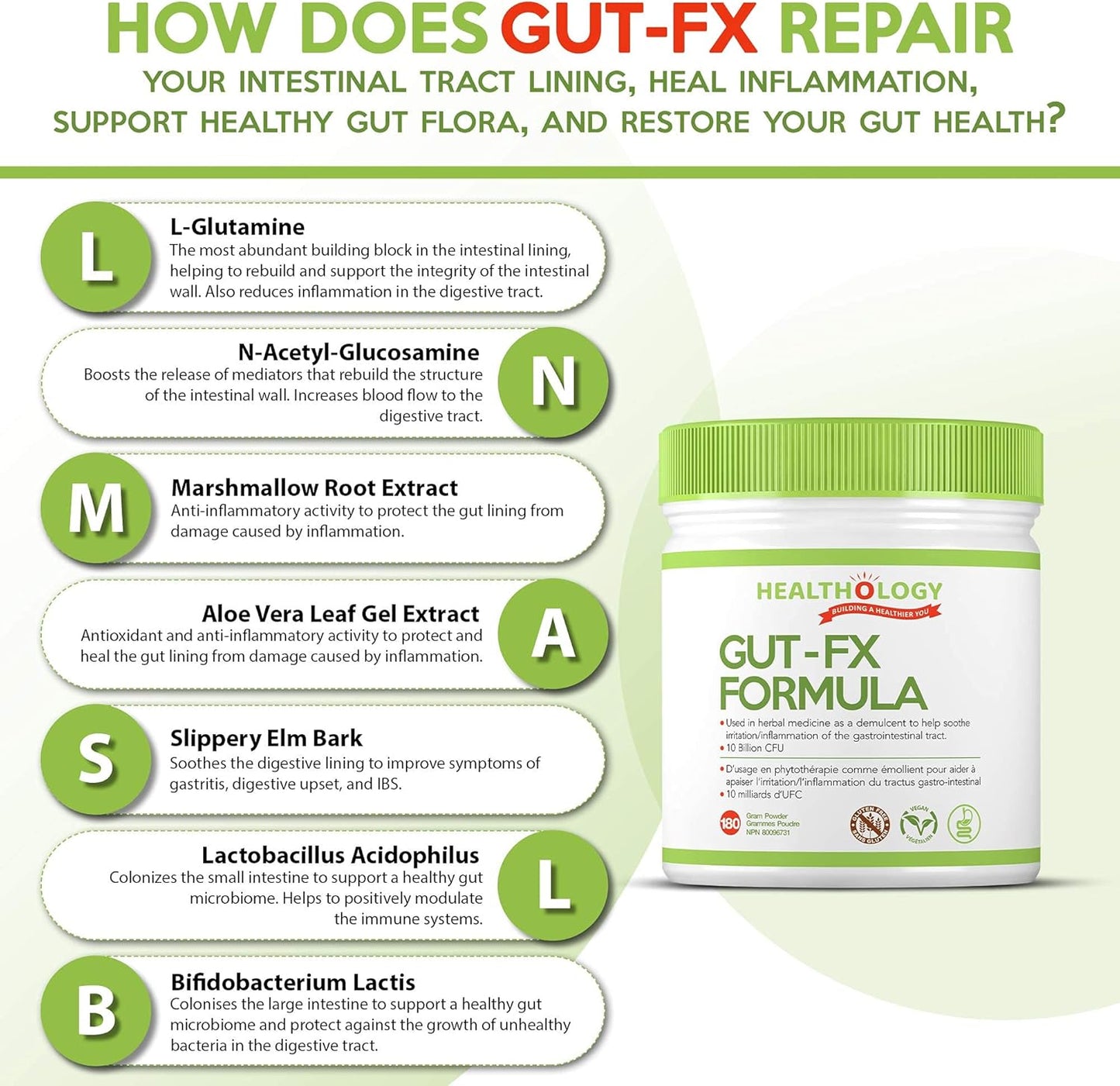 gut-fx-by-healthology-gut-supplement-for-leaky-gut-bloating-relief-probiotics-l-glutamine-marshmallow-root-reduce-inflammation-in-digestive-tract-5