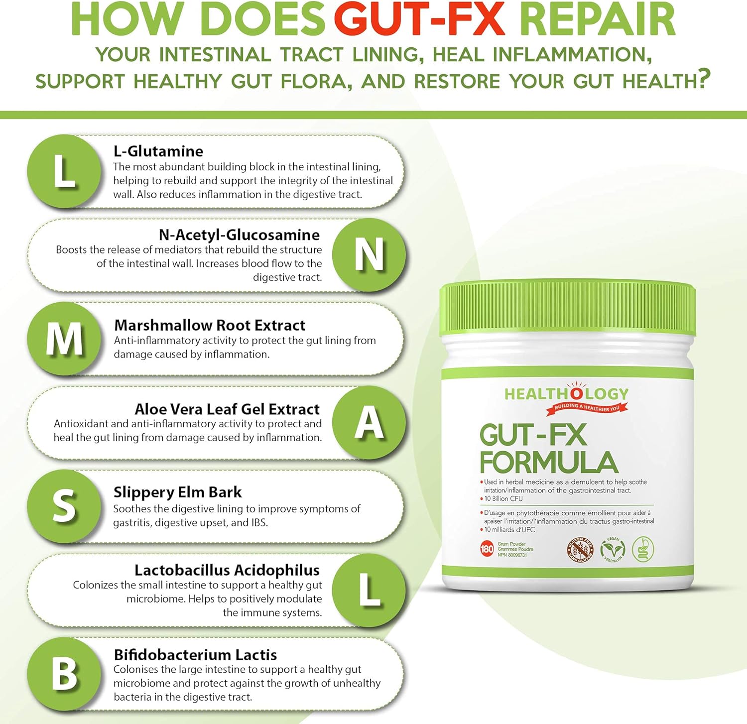 gut-fx-by-healthology-gut-supplement-for-leaky-gut-bloating-relief-probiotics-l-glutamine-marshmallow-root-reduce-inflammation-in-digestive-tract-5