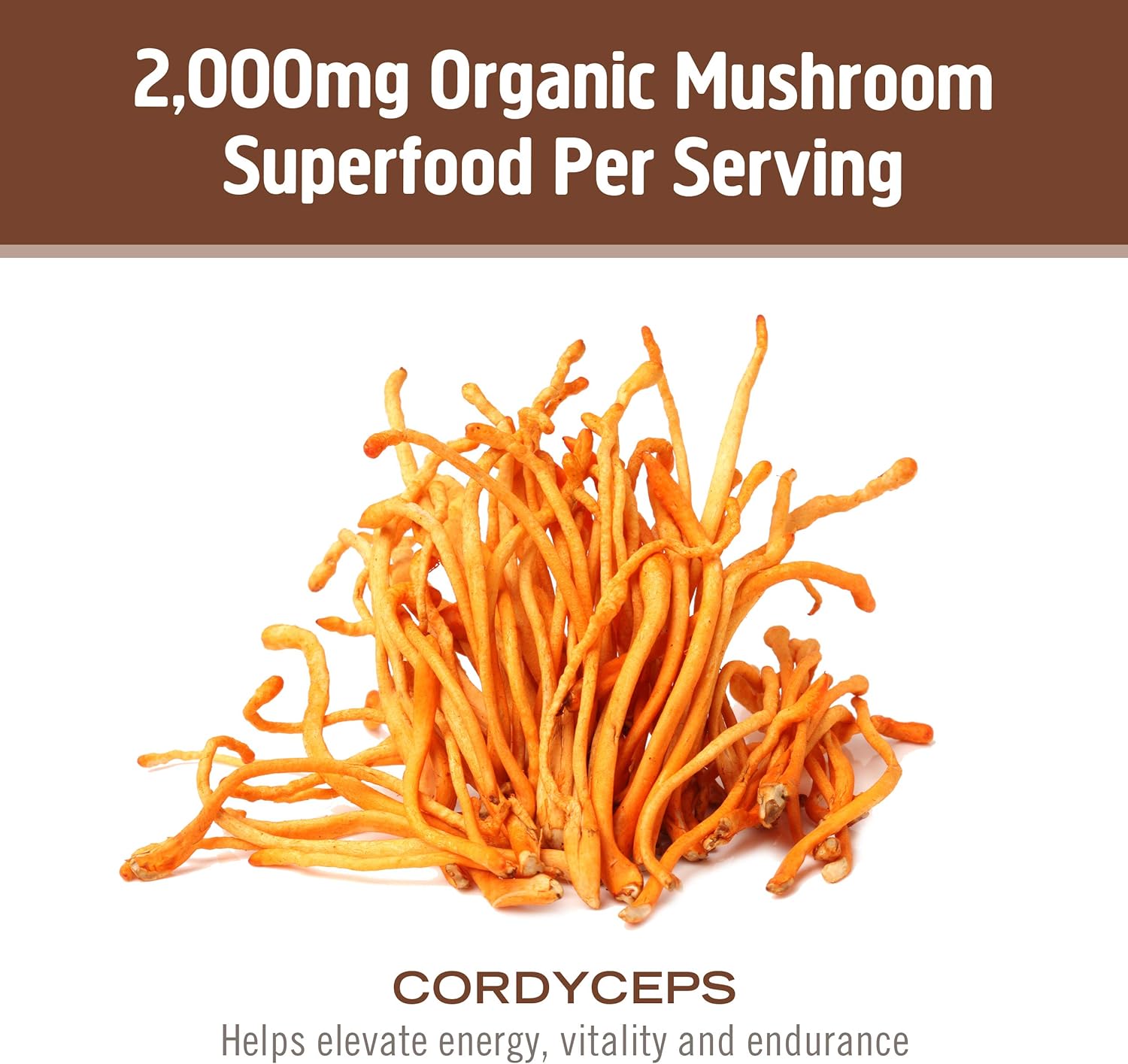 organic-cordyceps-mushroom-powder-for-energy-power-and-endurance---35-oz-50-servings---superfood-supplement-for-sports-performance-6
