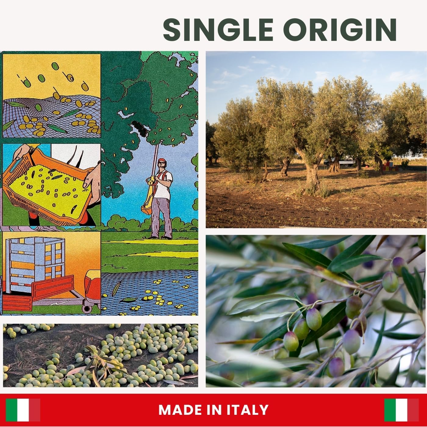 italian-extra-virgin-olive-oil-set---2-pack-of-high-polyphenol-evoo-from-italy-early-harvest-first-cold-pressed-for-cooking-and-drinking---non-gmo---169-fl-oz-each-5