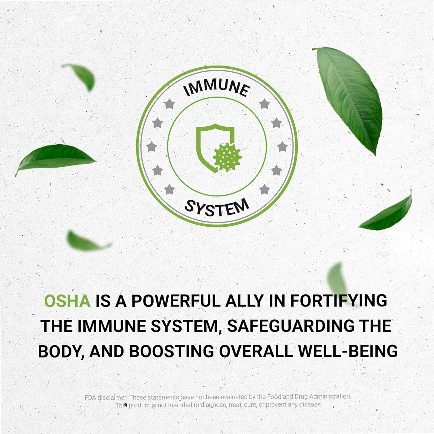 responsibly-farmed-osha-alcohol-free-liquid-extract-4-fl-oz-by-secrets-of-the-tribe-6