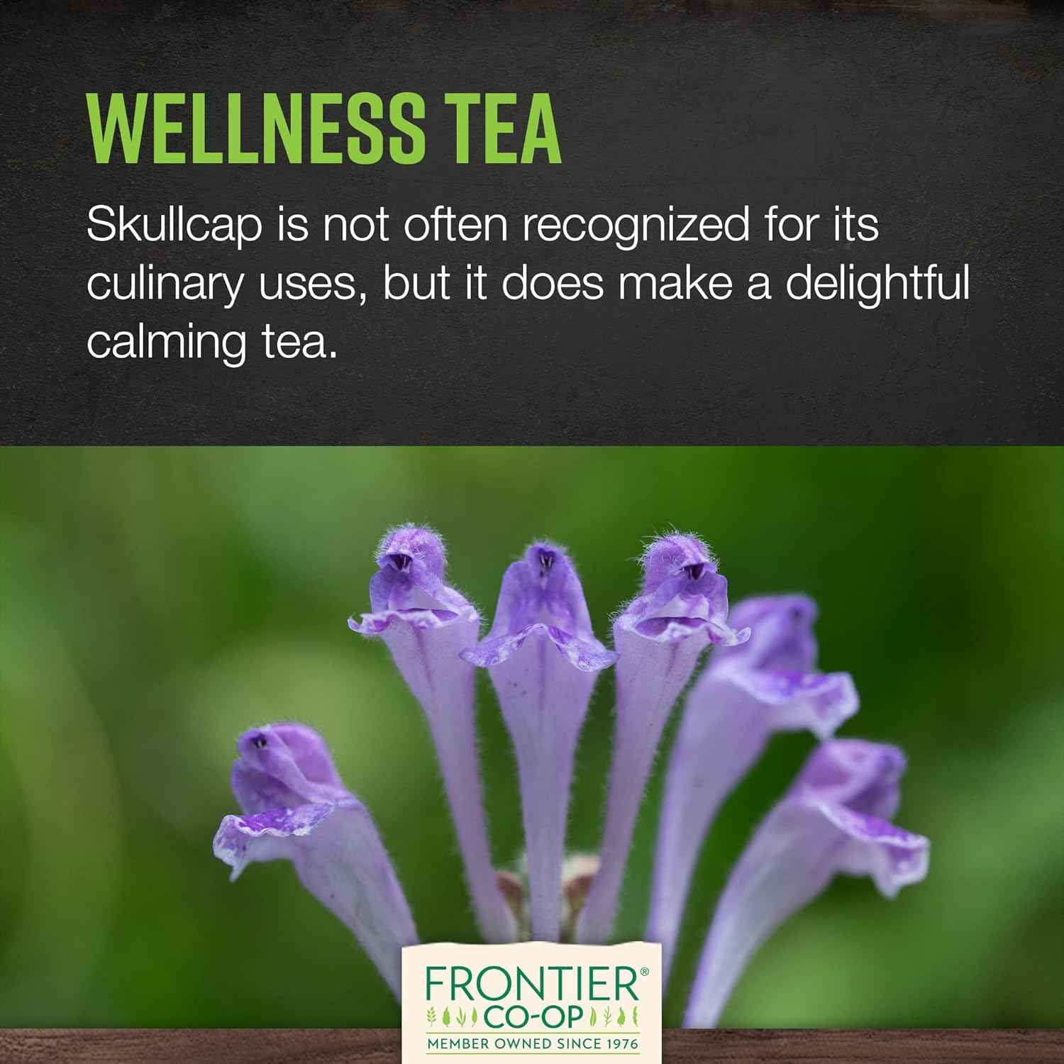 Organic Scullcap Herb Cut & Sifted 1lb - Certified Herbal Supplement for Tincture, Tea, Frontier Co-op Organic Skullcap Herb