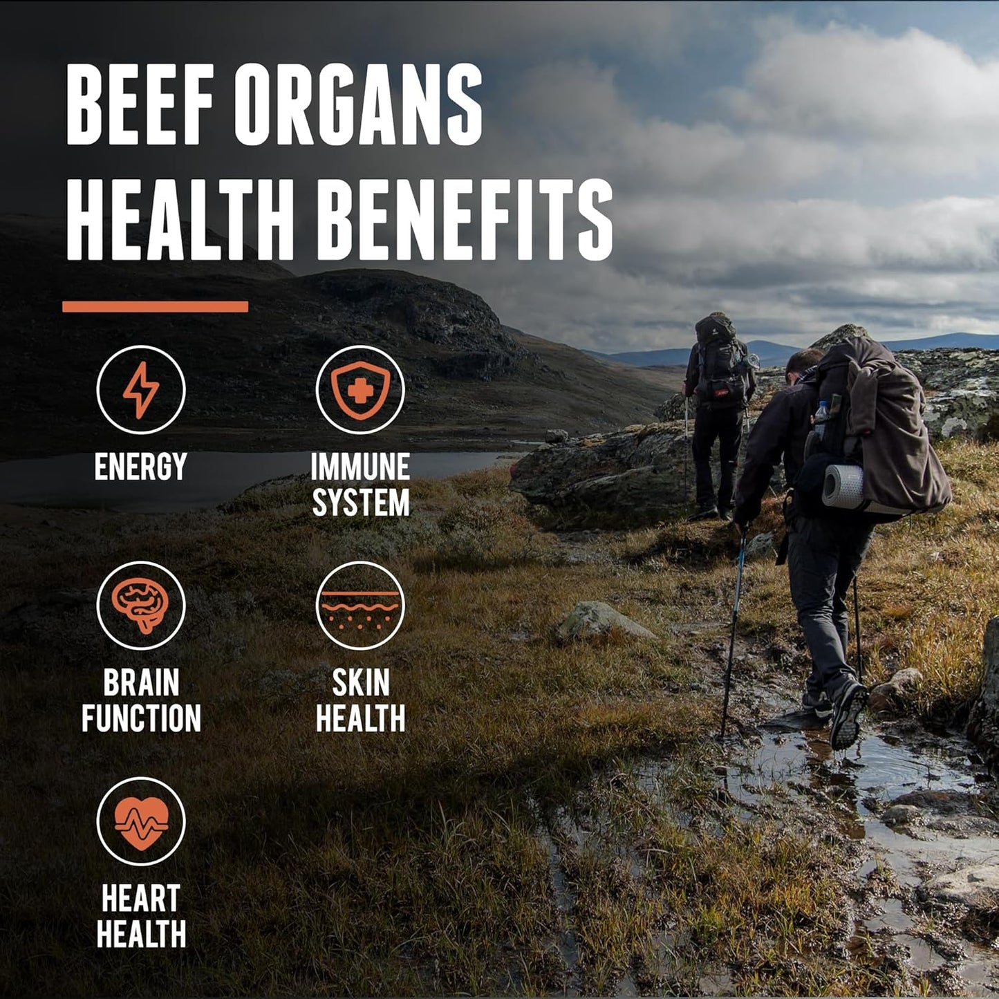 organic-beef-organs-and-trachea-supplement-by-one-earth-health---premium-quality-nutrients-for-overall-wellness-8