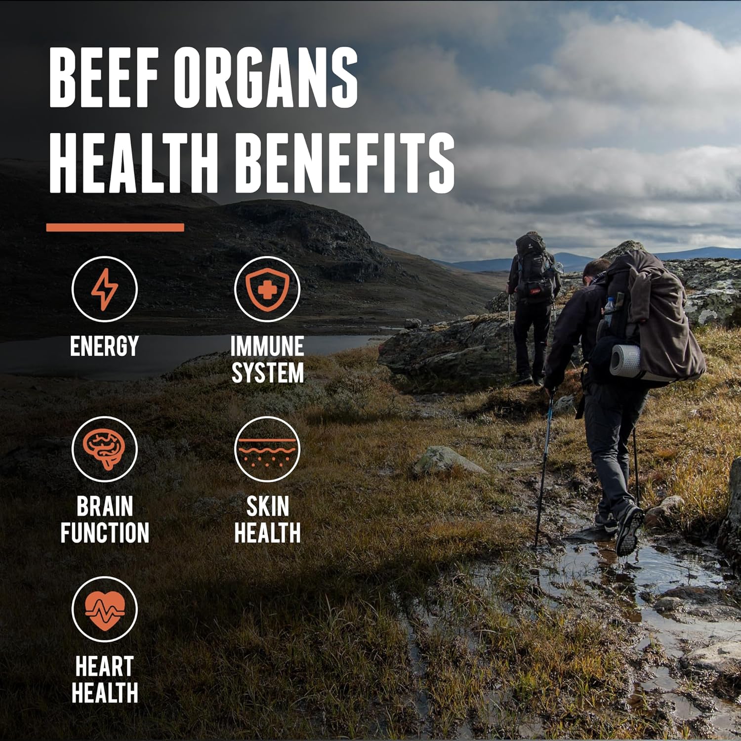 beef-organ-and-collagen-supplement-by-one-earth-health---boost-your-health-naturally-with-premium-ingredients-8
