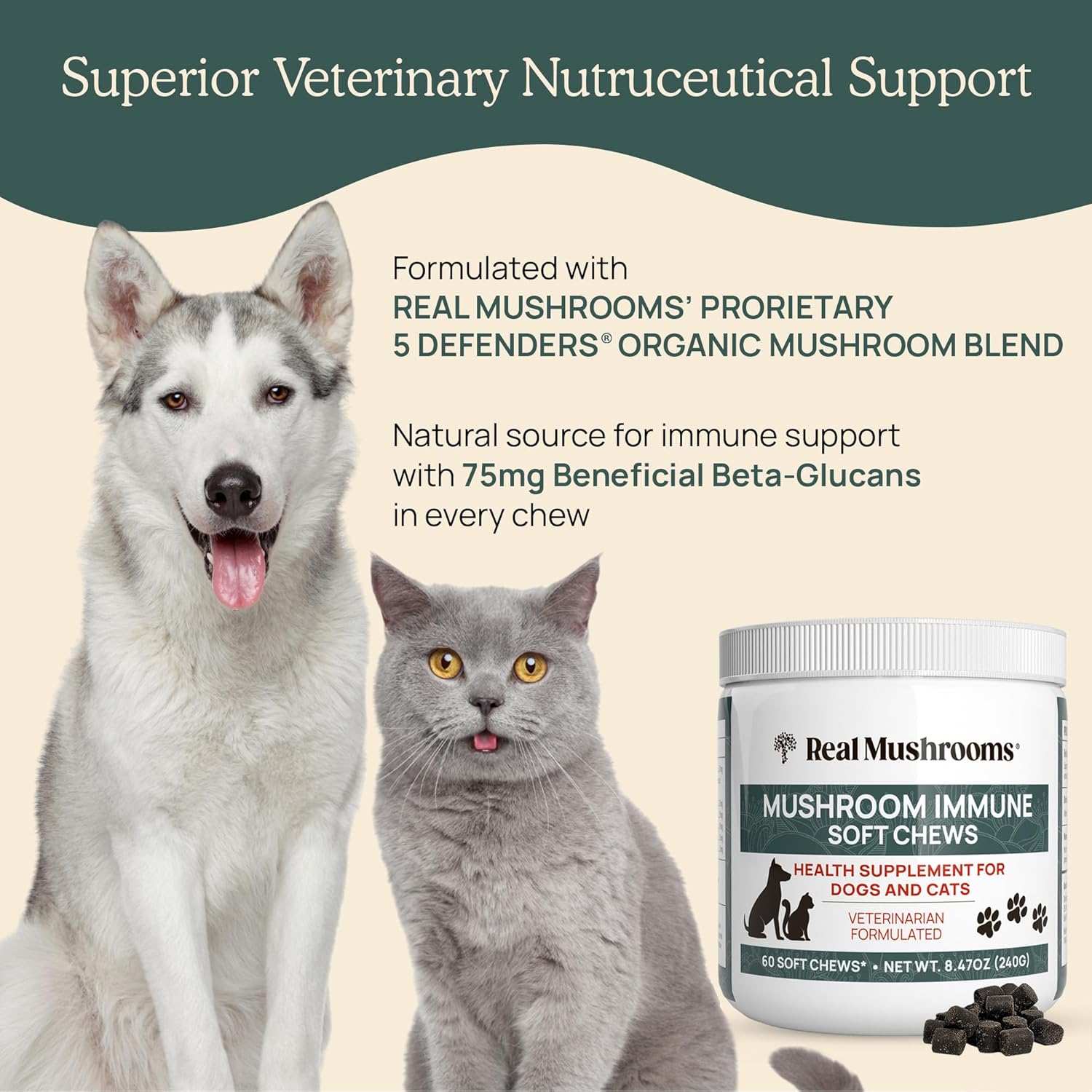 real-mushrooms-immune-support-pet-chews---60-ct-dog-treats-with-ashwagandha-astragalus-blueberry-olive-leaf-acerola---gut-health-for-cats-dogs-4