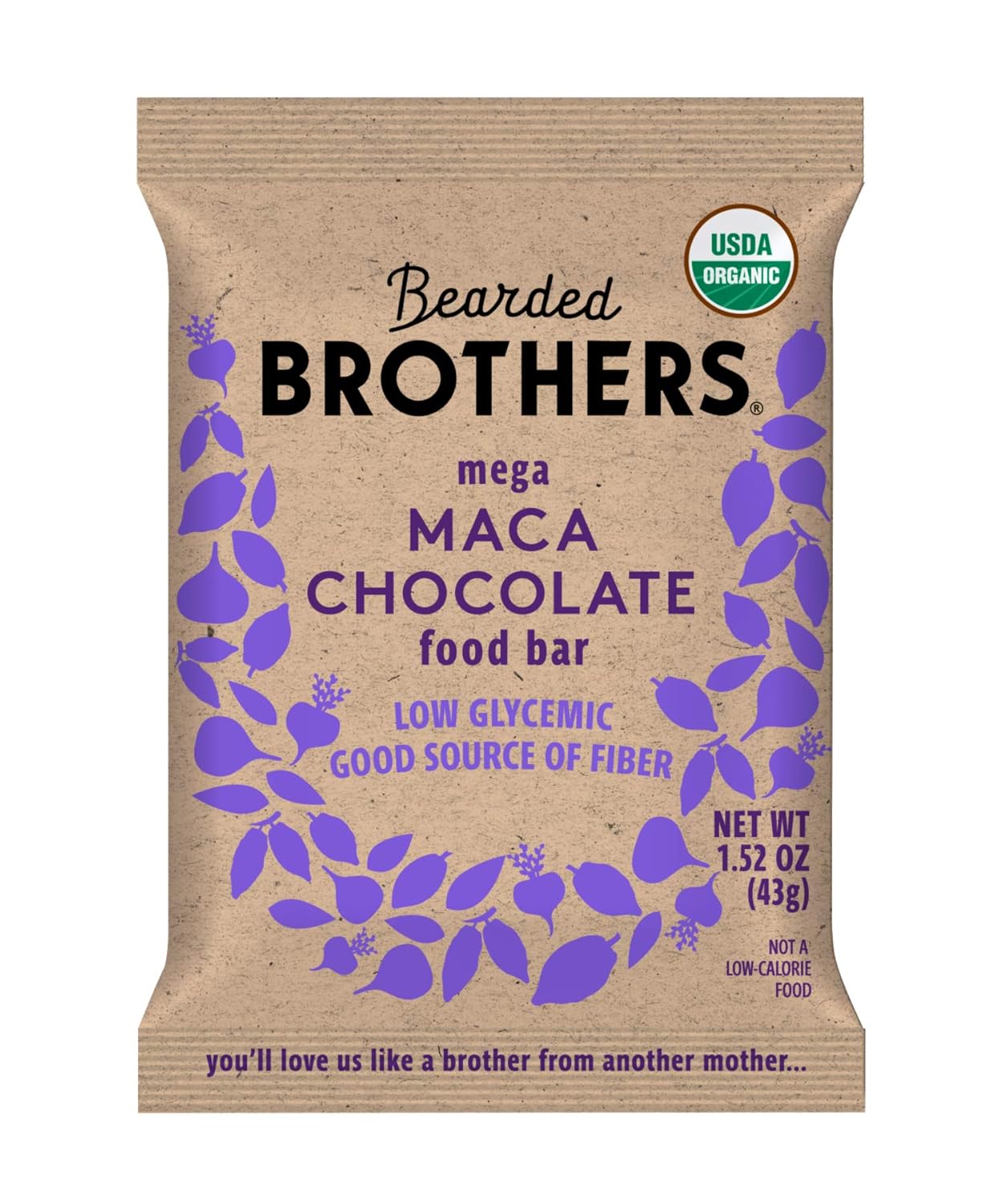 organic-vegan-protein-energy-bars---gluten-free-soy-free-paleo-friendly-high-fiber-non-gmo-low-glycemic-maca-chocolate-flavor---12-pack-1