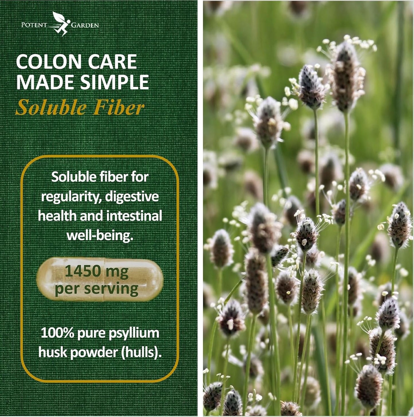 organic-psyllium-husk-capsules---high-quality-fiber-supplement-for-digestive-health-regularity-240-capsules-2