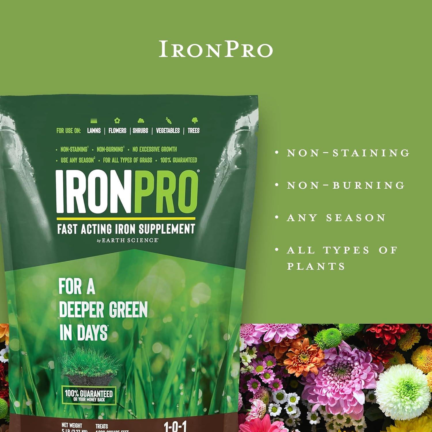 Earth Science Iron Pro Fast Acting Supplement for Lawn & Garden - Deep Green Results for Grass, Flowers, Vegetables, & Shrubs - Non-Staining, Non-Burning Formula - Covers 1K Sq. Ft. - Espot.com.au