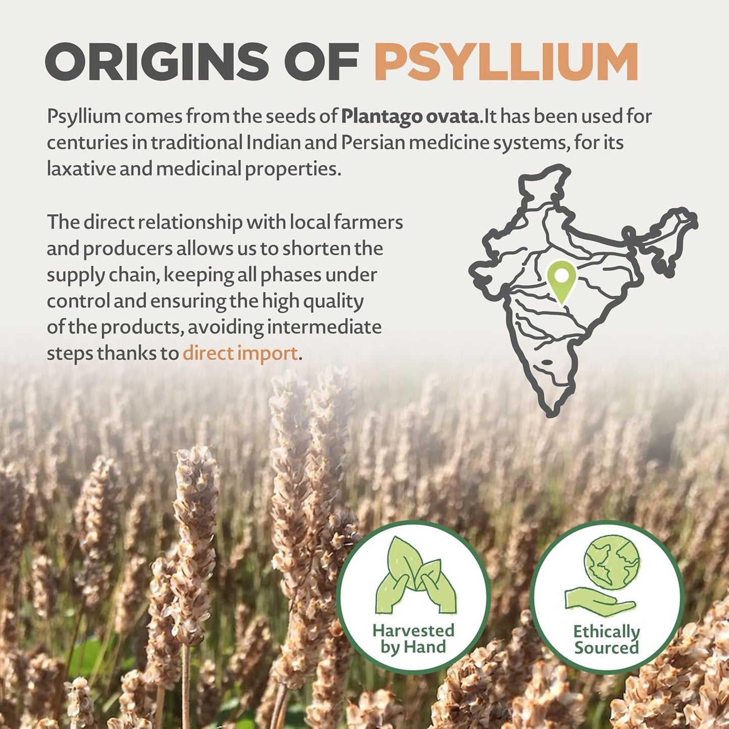 organic-psyllium-husk-powder---12oz-99-pure-fiber-supplement-usda-certified-gluten-free-perfect-for-keto-paleo-vegan-probiotics-for-men-and-women-made-in-india-6
