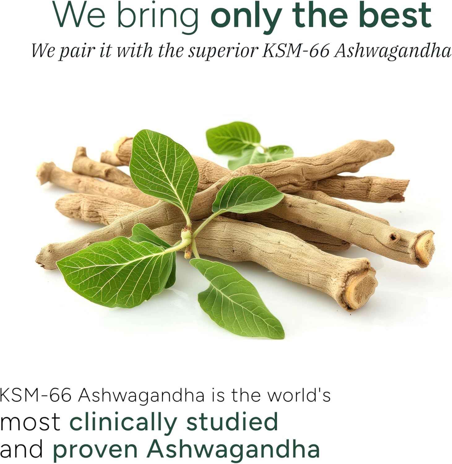 organic-sea-moss-gummies-with-black-seed-oil-ashwagandha-and-92-minerals-lab-tested-non-gmo-1600-mg---60-gummies-for-men-and-women-8