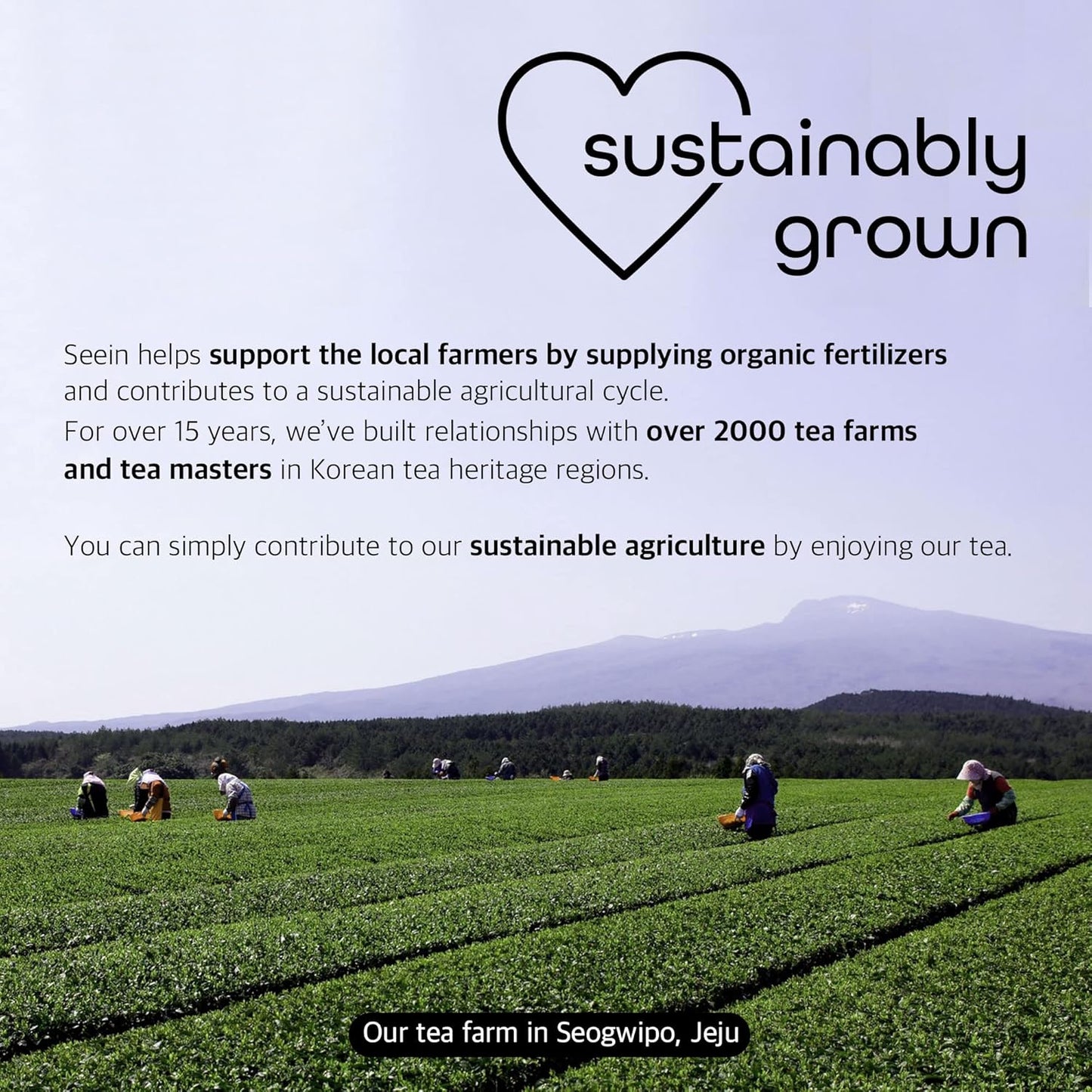 organic-matcha-green-tea-powder-from-jeju-korea---premium-first-harvest-106oz---usda-certified-4