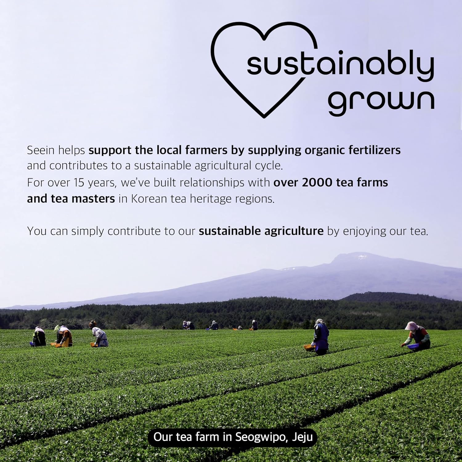 organic-matcha-green-tea-powder-from-jeju-korea---premium-first-harvest-106oz---usda-certified-4