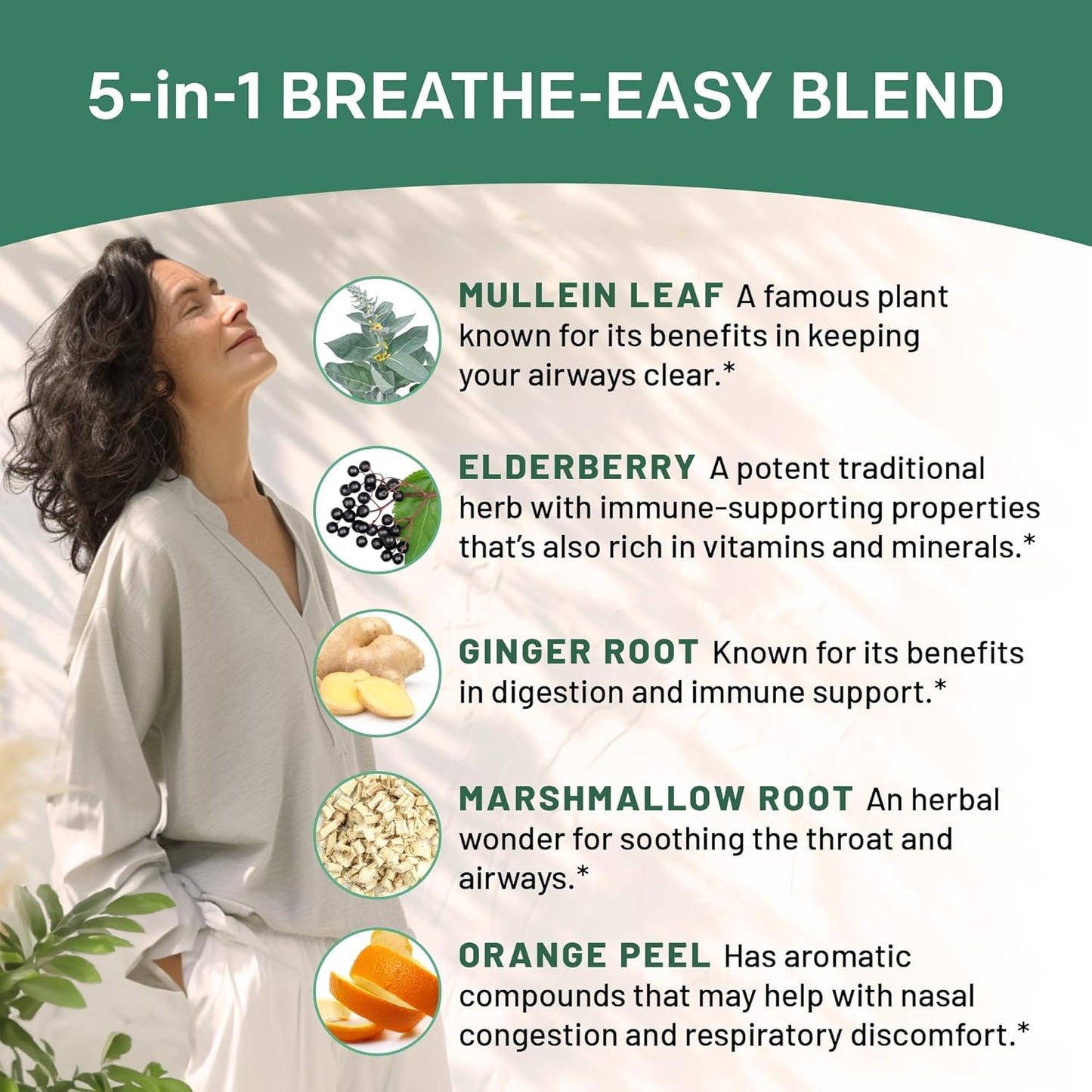 premium-lung-and-bronchial-support-drops-with-mullein-leaf-extract---5-in-1-respiratory-health-formula-with-elderberry-marshmallow-and-ginger-root---120-servings-2-pack-4