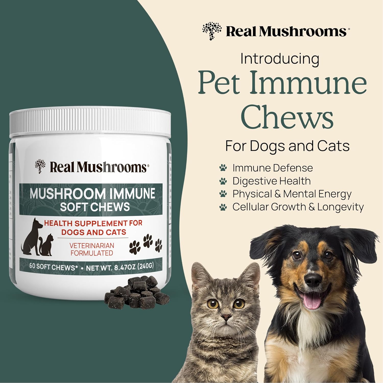 real-mushrooms-immune-support-pet-chews---60-ct-dog-treats-with-ashwagandha-astragalus-blueberry-olive-leaf-acerola---gut-health-for-cats-dogs-2