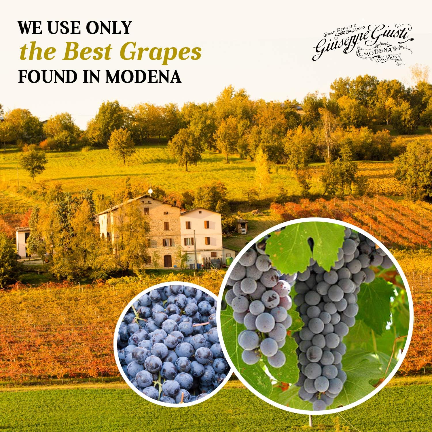 giusti-balsamic-vinegar-of-modena-5-gold-medals---champagnotta-gift-set-250ml---premium-italian-condiment-8