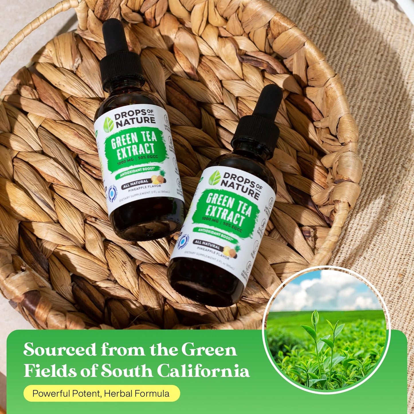 quercetin-and-green-tea-liquid-drops-bundle---natural-drops-of-quercetin-750mg-and-green-tea-extract-1000mg-7