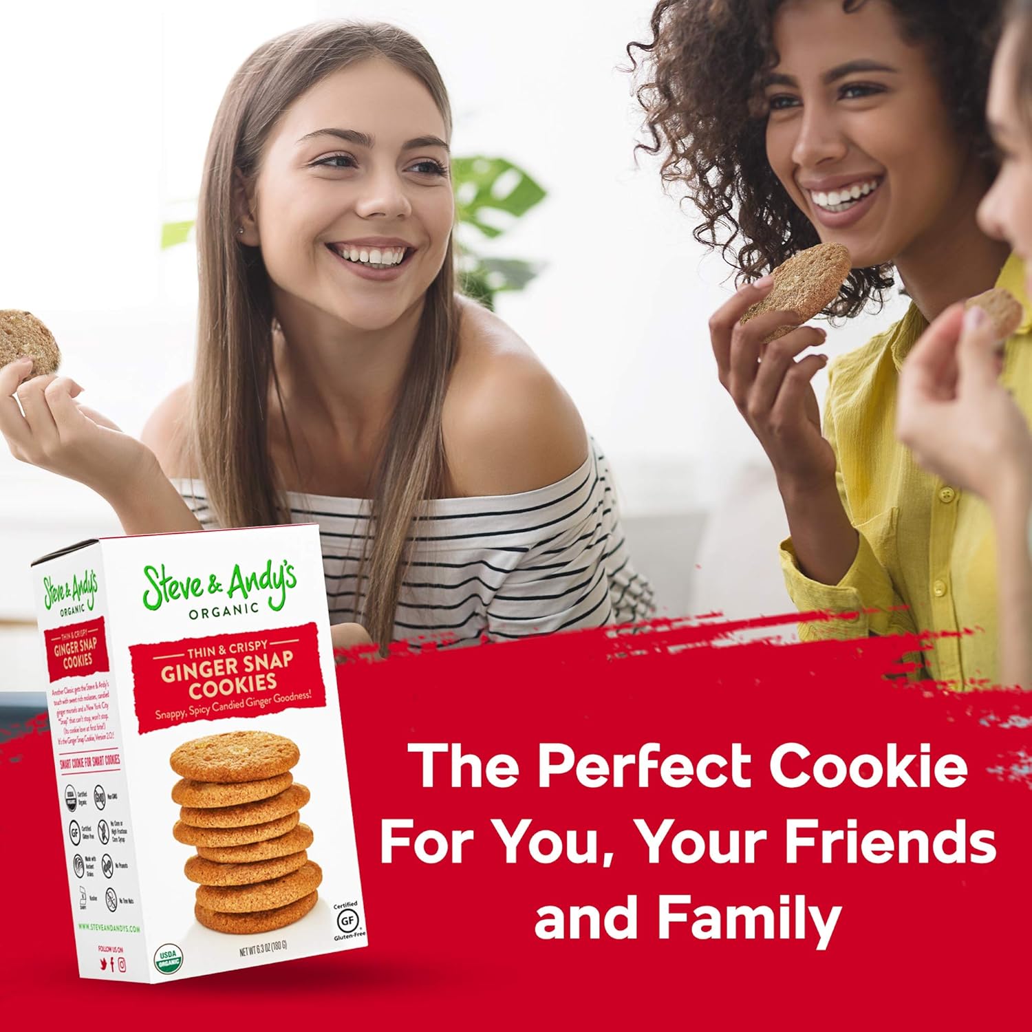 organic-gingerbread-cookies-by-steve-andy-63-oz---delicious-and-healthy-treats-for-snacking-or-dessert-6