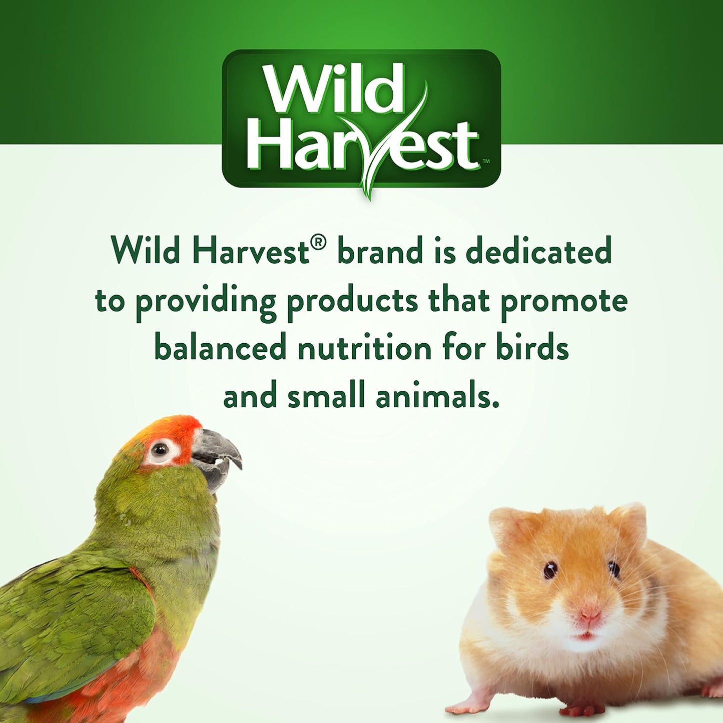 nutritious-wild-harvest-daily-blend-for-parakeets-canaries-and-finches---5-pounds-8
