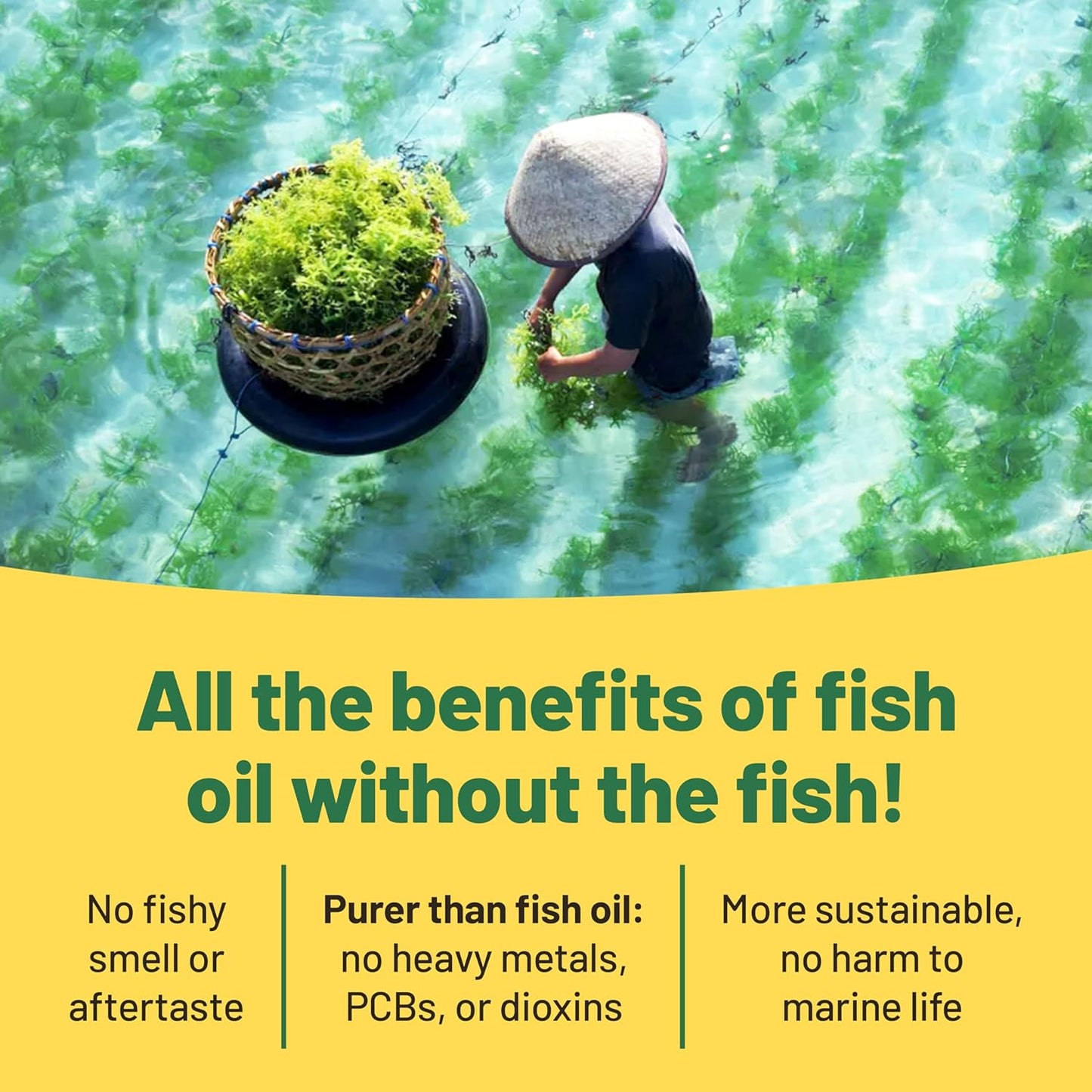 plant-based-omega-3-supplement-with-vegan-dha-for-joint-heart-immune-support---60-algae-oil-soft-gels-for-vegan-vitality-5