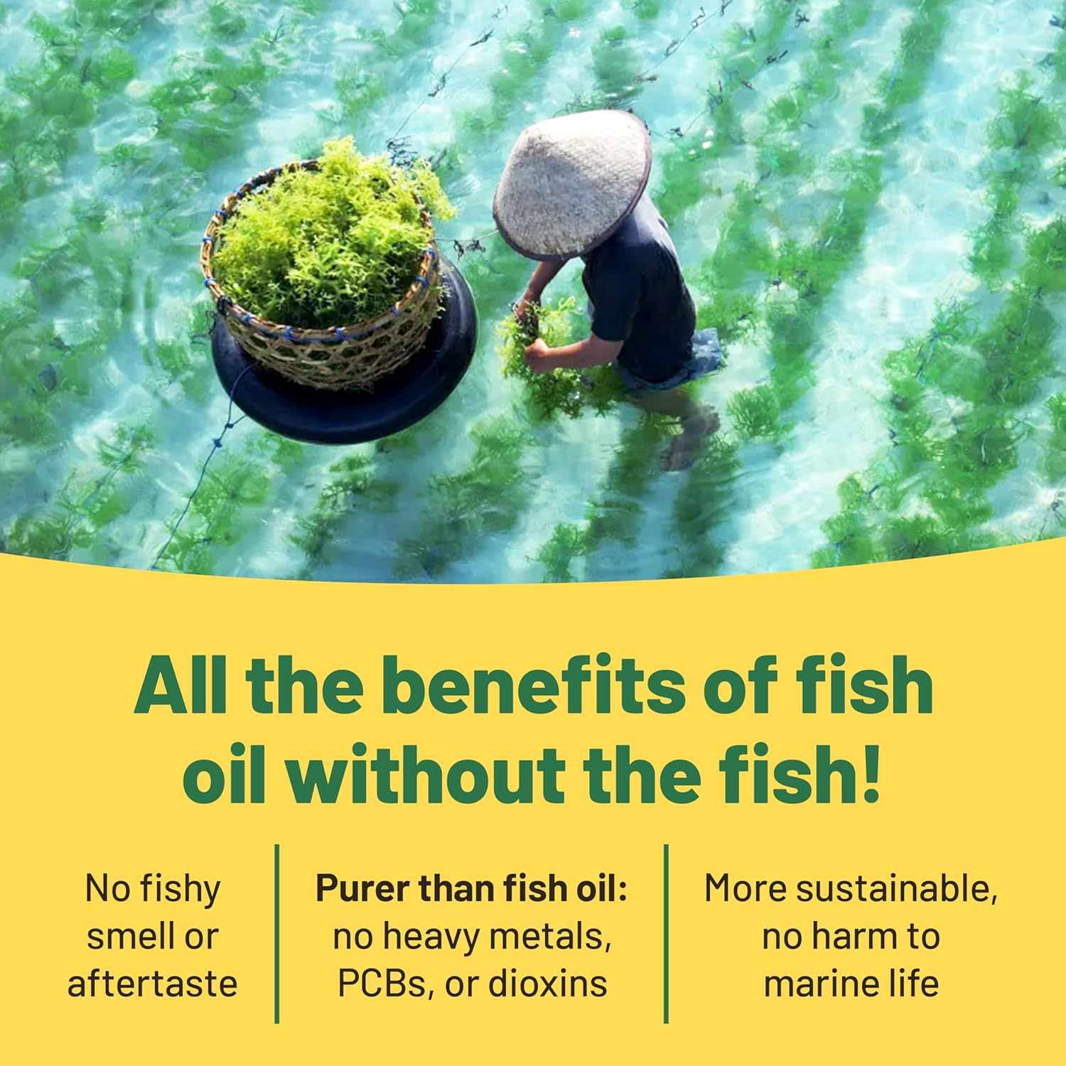 plant-based-omega-3-supplement-with-vegan-dha-for-joint-heart-immune-support---60-algae-oil-soft-gels-for-vegan-vitality-5