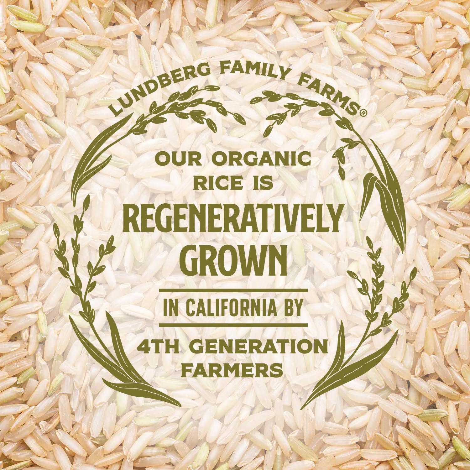 organic-sprouted-brown-basmati-rice---nutty-nutritious-california-grown-rice-ready-in-30-minutes-pantry-staple-16-oz-pack-of-6-7