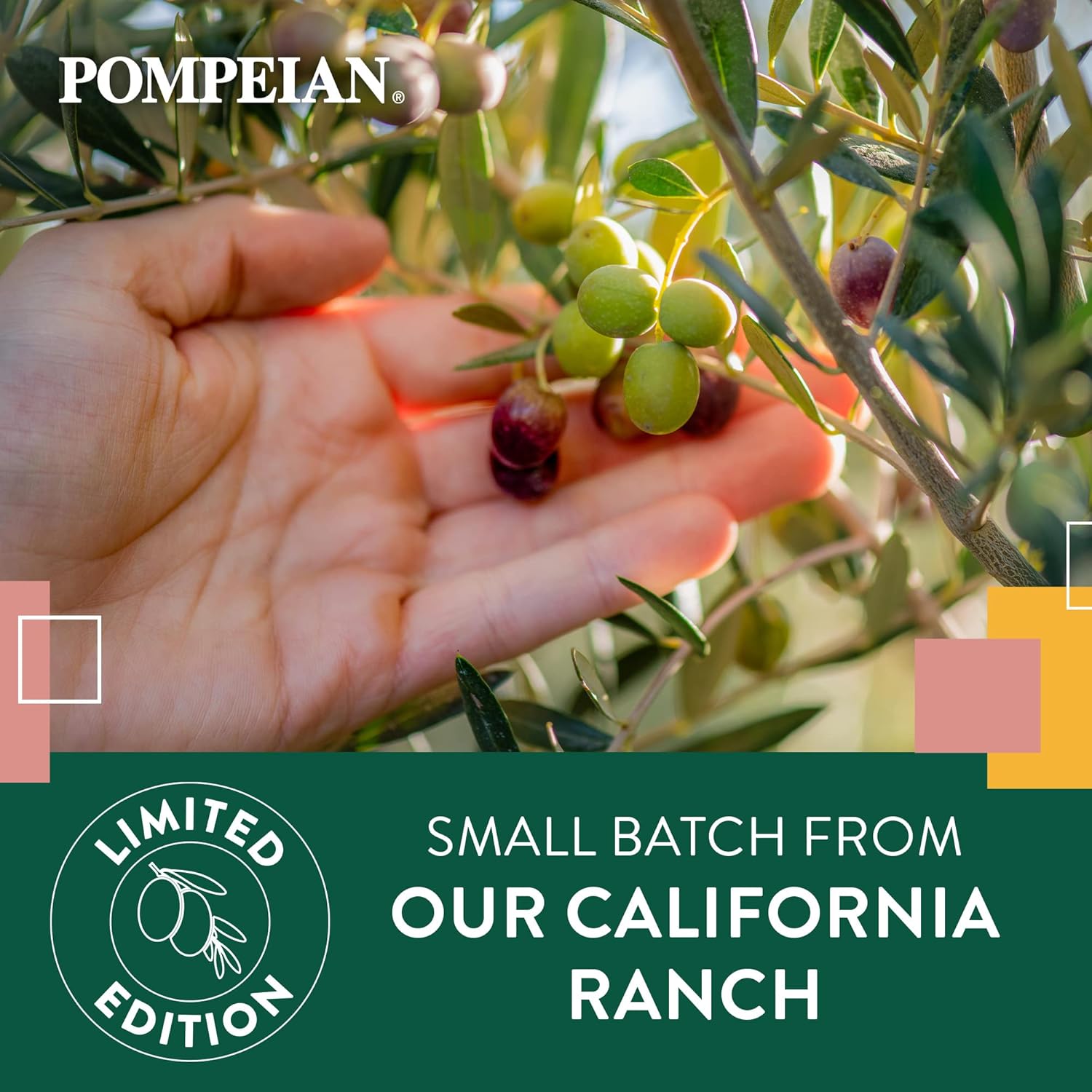 pompeian-california-dream-extra-virgin-olive-oil---100-california-premium-estate-harvest---cooc-certified---gluten-free-non-gmo---32-fl-oz-single-bottle-3