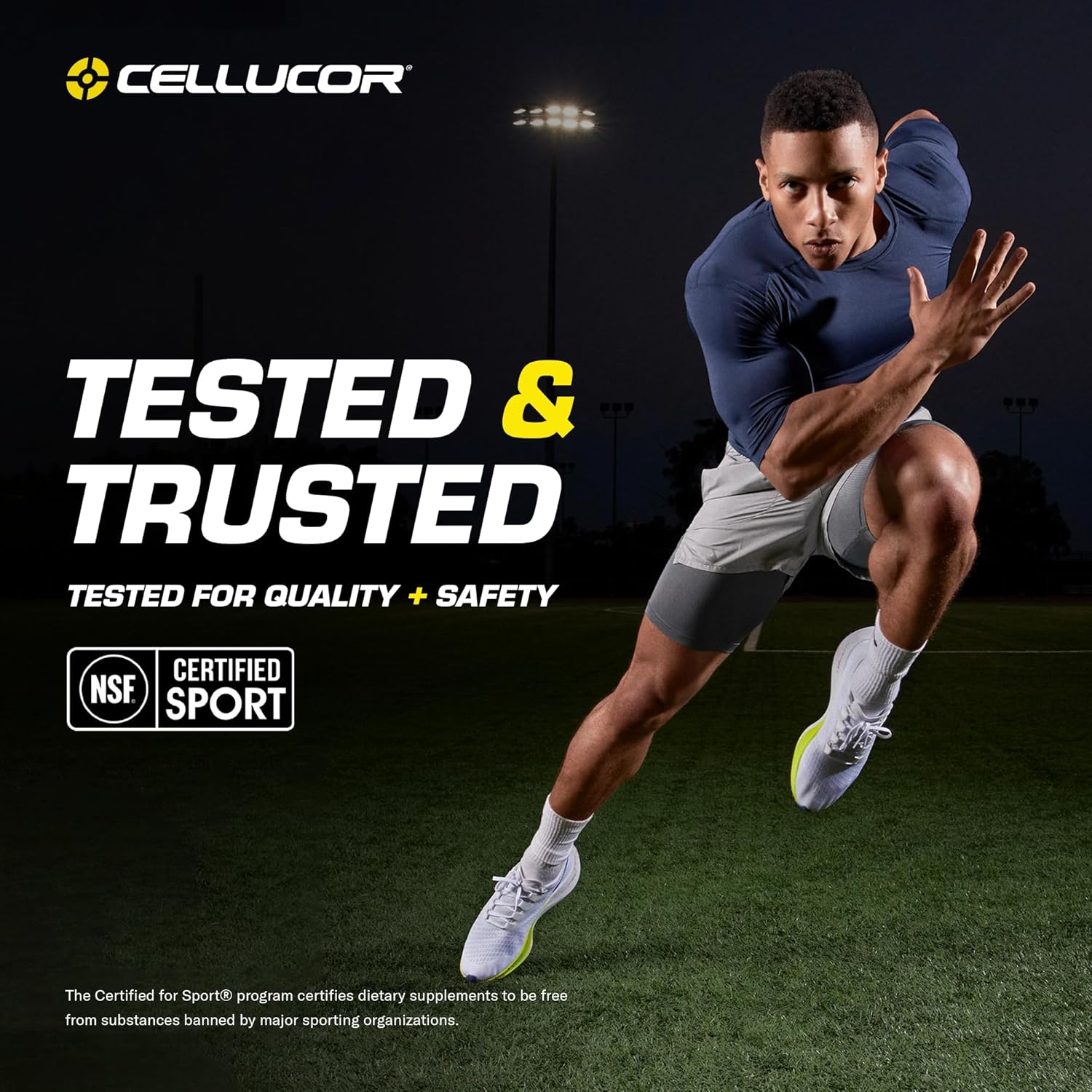 cellucor-bcaa-sport-cherry-limeade-powder---30-servings-for-hydration-recovery-6
