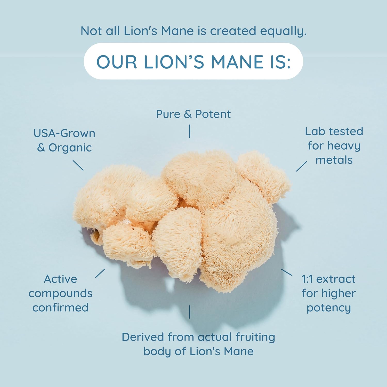 organic-lions-mane-mushroom-coconut-milk-powder-mcts-superfood-creamer-for-keto-coffee-smoothies---wondercow-bovine-colostrum-supplement-powder-unsweetened-sugar-free-5
