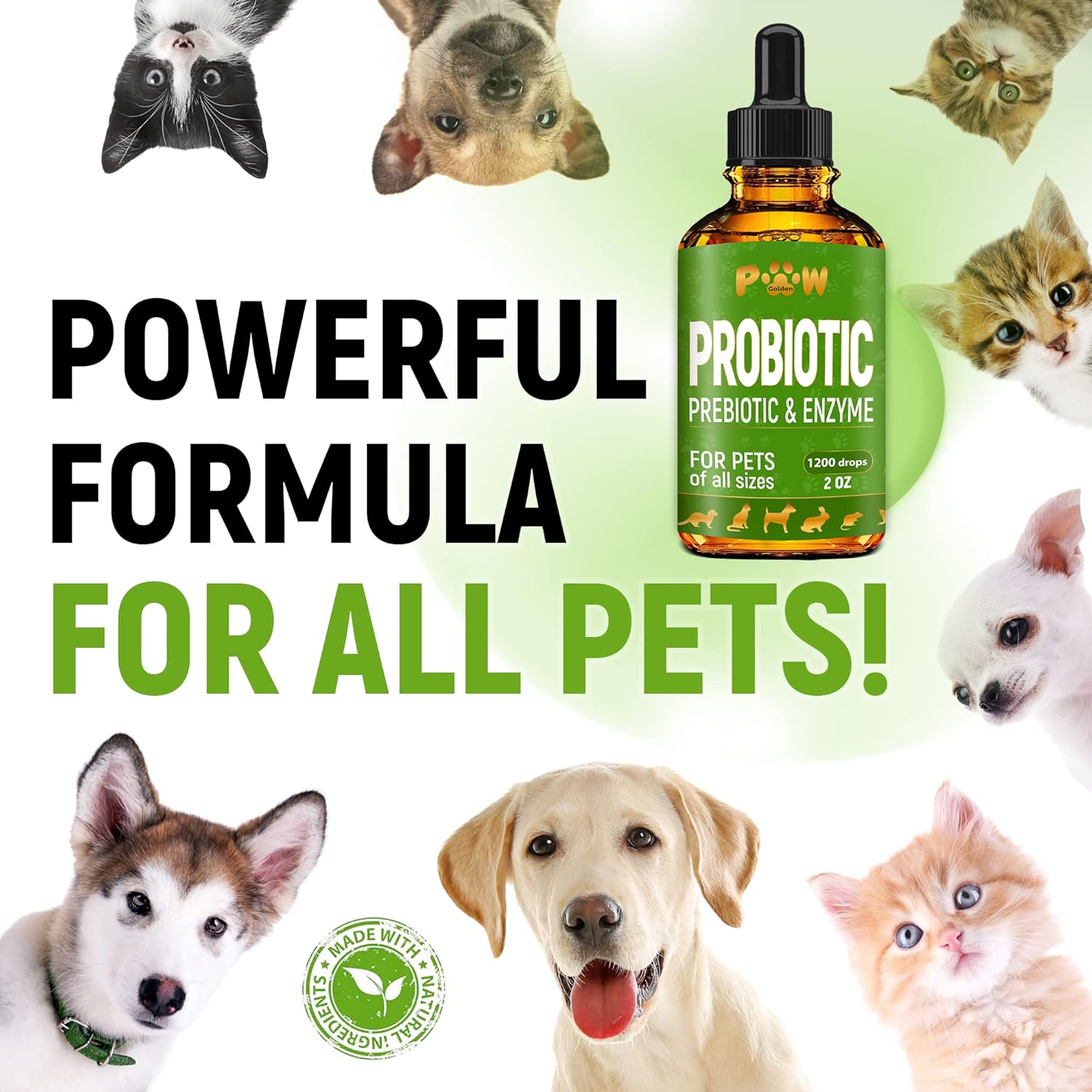 premium-liquid-probiotics-for-dogs-cats-natural-dietary-supplement-with-prebiotic-blend-supports-digestion-food-absorption-herbal-flavor-2-oz-bottle-6