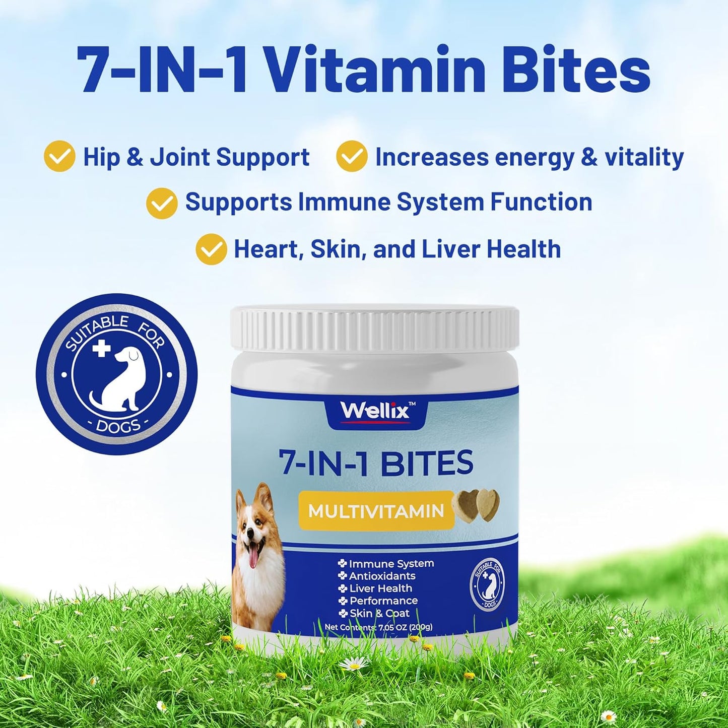 dog-multivitamin-chewable-treats-for-skin-coat-mobility-hip-joint-support---wellix-supplement-for-immune-system-overall-health-120-chews-2