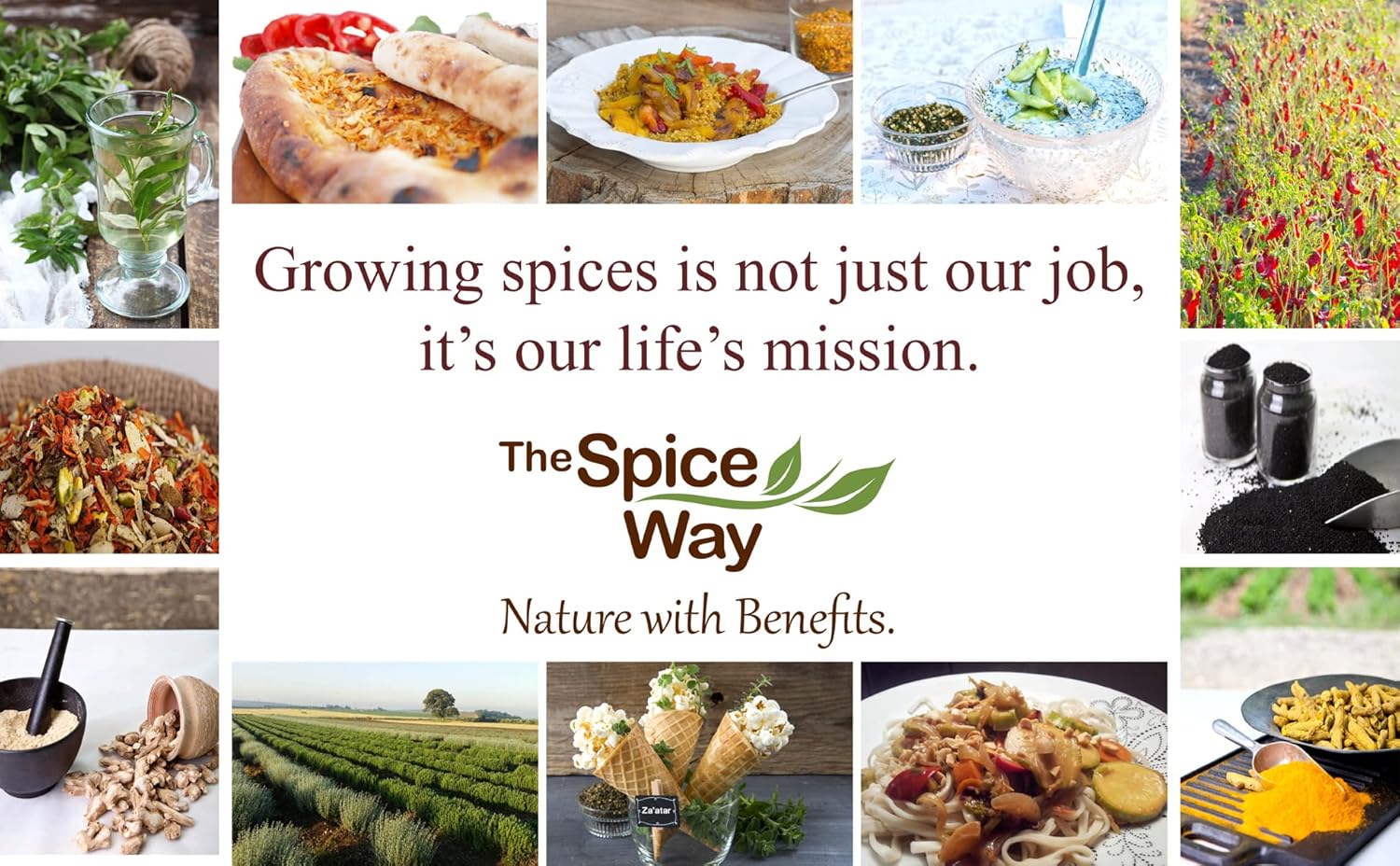 the-spice-way-allspice-whole-berries---8-oz---ideal-for-curries-sauces-soups-and-pastries-7