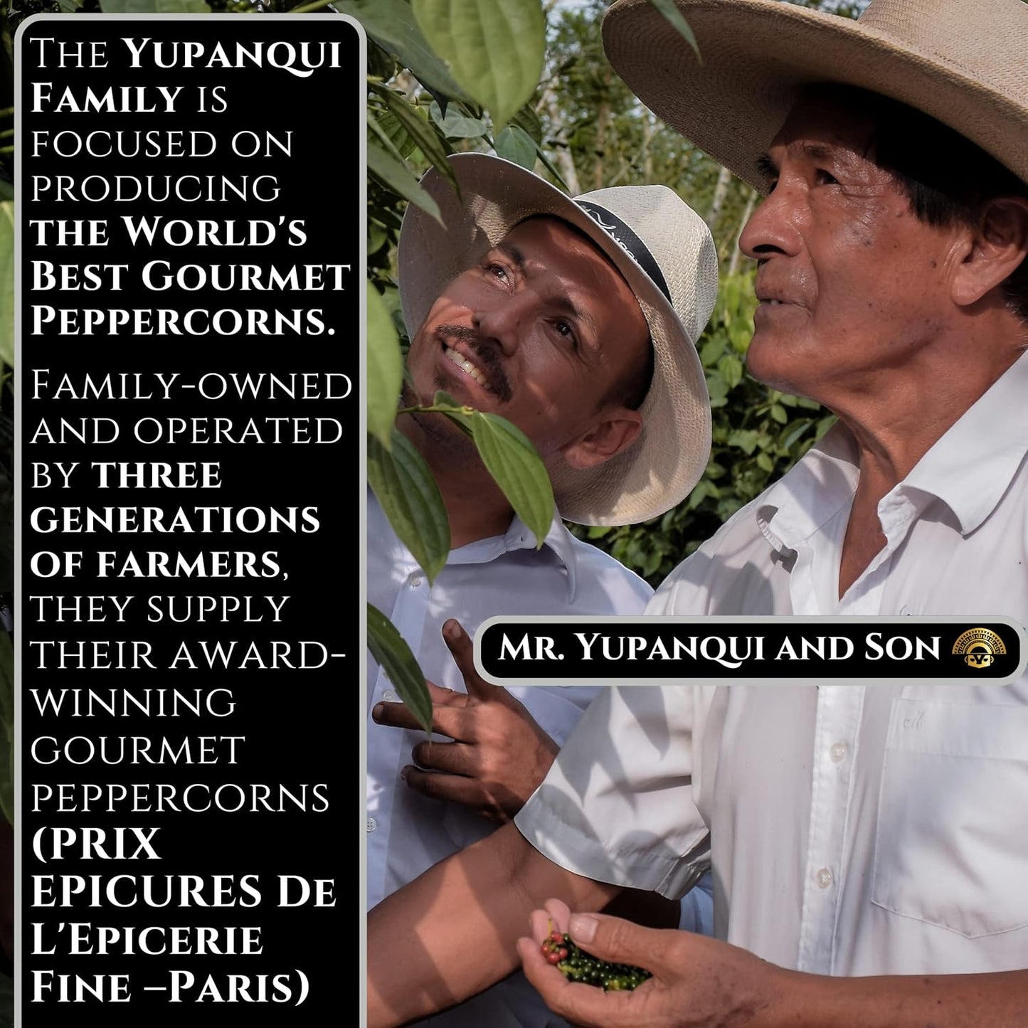 organic-black-peppercorns-for-grinder-refill---176oz-gourmet-whole-black-pepper---award-winning-quality-2