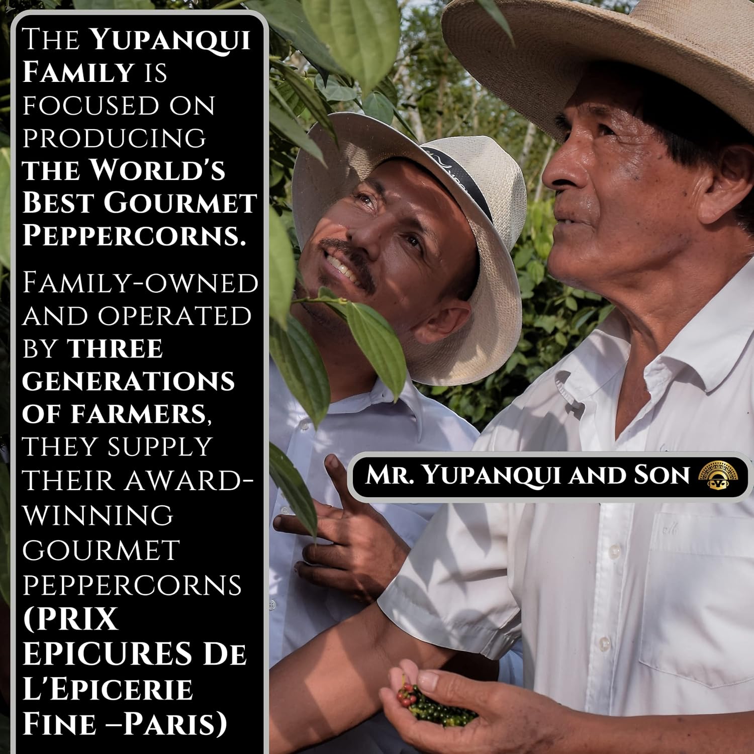 organic-black-peppercorns-for-grinder-refill---176oz-gourmet-whole-black-pepper---award-winning-quality-2
