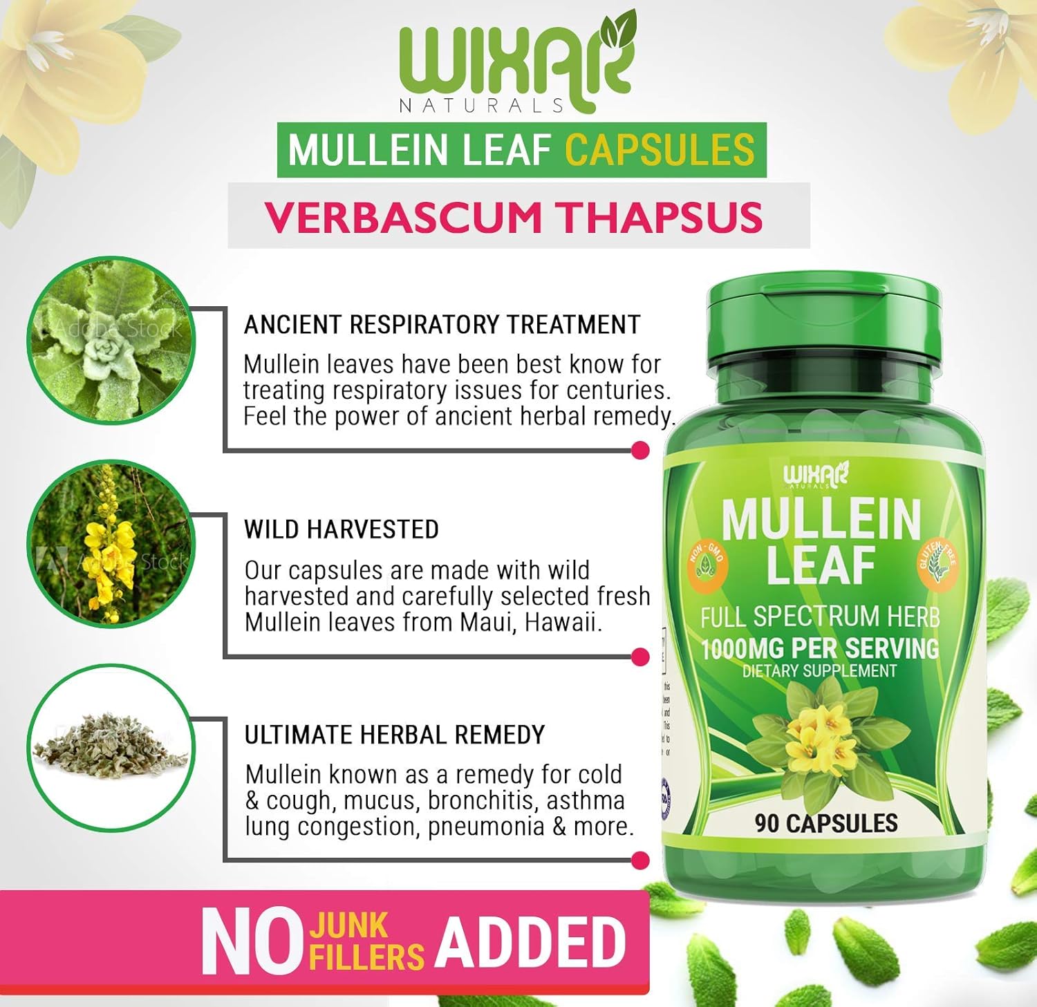 natural-mullein-leaf-capsules-for-healthy-respiratory-function---90-capsules-1000mg---supports-lung-cleanse-mucous-membranes---herbal-supplement-by-wixar-naturals-4