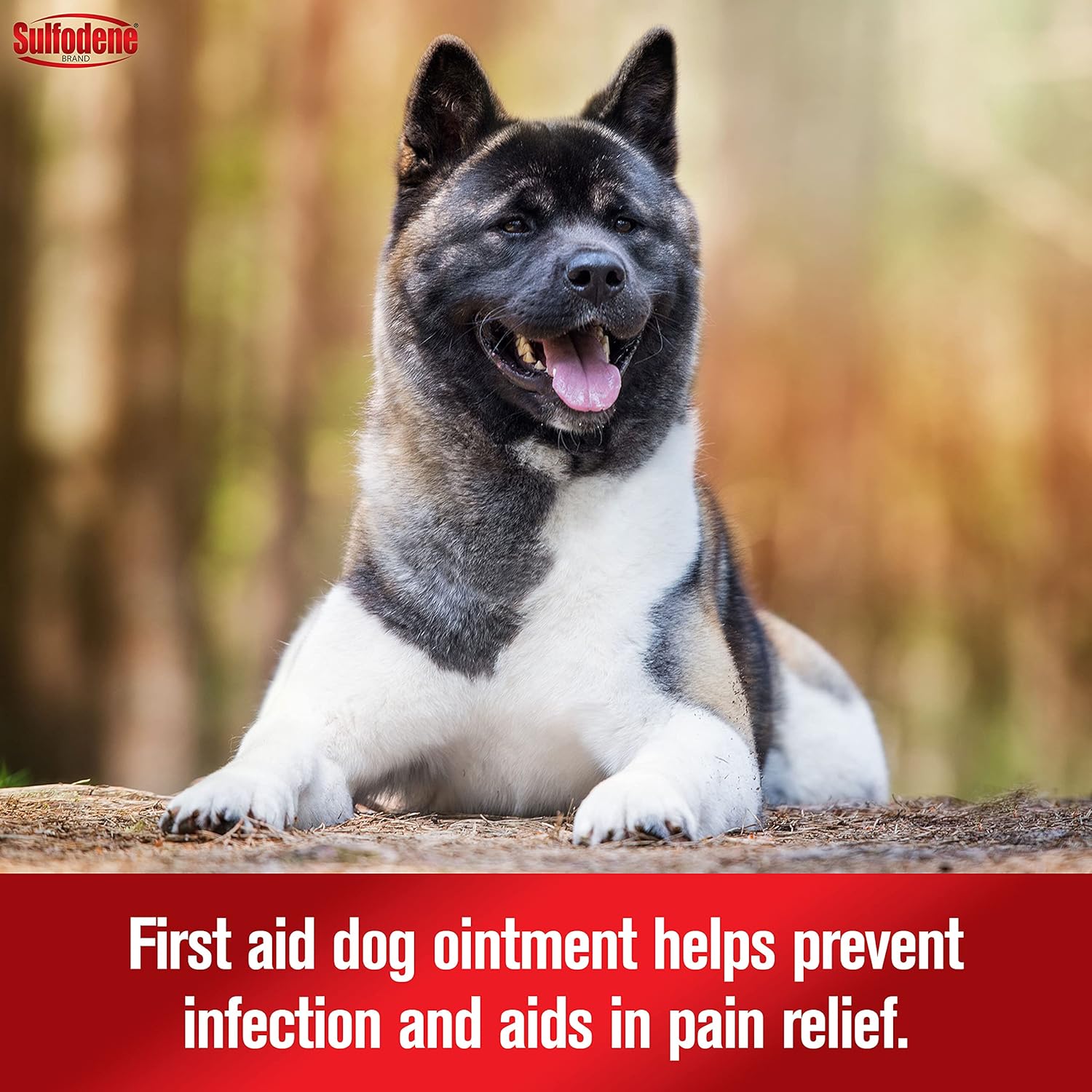 sulfodene-dog-wound-care-ointment---pain-relief-infection-prevention-for-cuts-scrapes-bites---2-oz-3