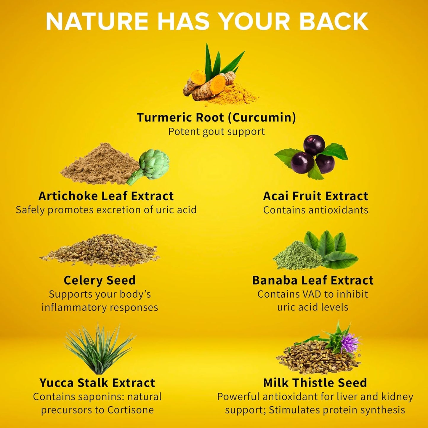 joint-support-supplement-with-uric-acid-formula---pack-of-3-60ct-each---featuring-turmeric-acai-banaba-celery-seed-yucca-stalk---purmedica-urcinol-8