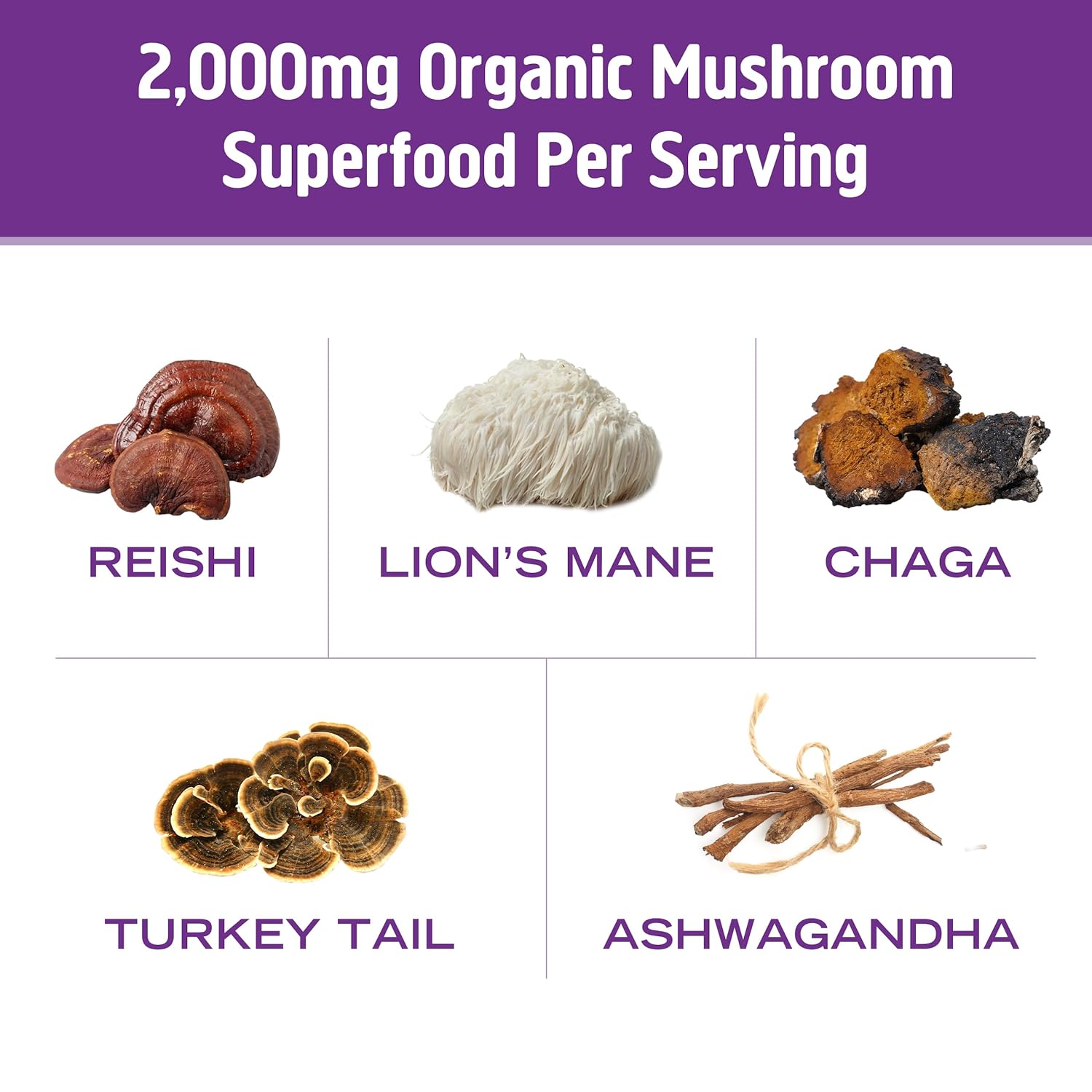 om-mushroom-superfood-hot-chocolate-blend-single-serve-packets---10-count-dutch-cocoa-flavor-with-lions-mane-reishi-chaga-turkey-tail-mushrooms-for-focus-and-stress-support---2g-sugar-25-calories-7
